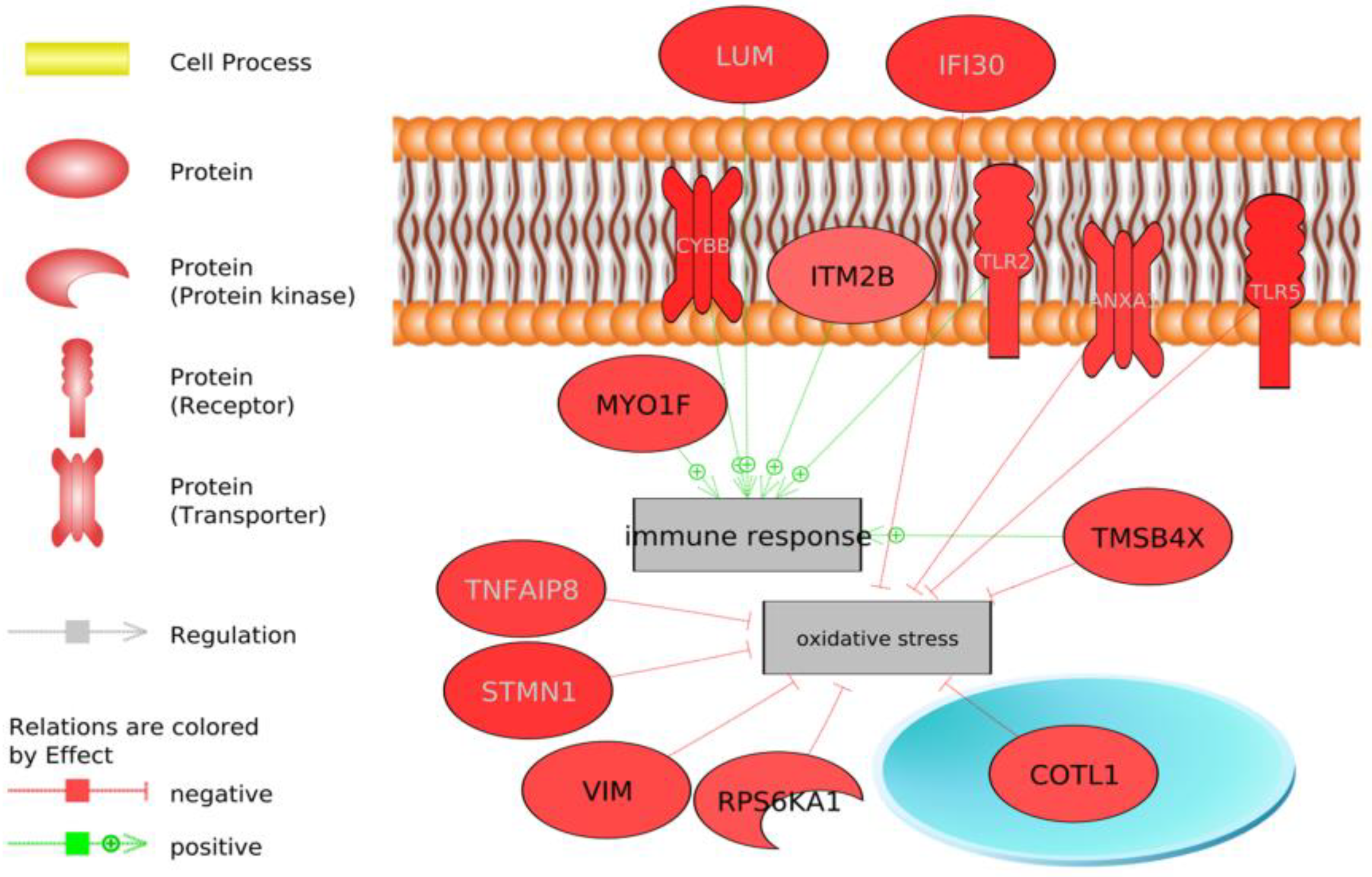 Animals 13 00359 g003