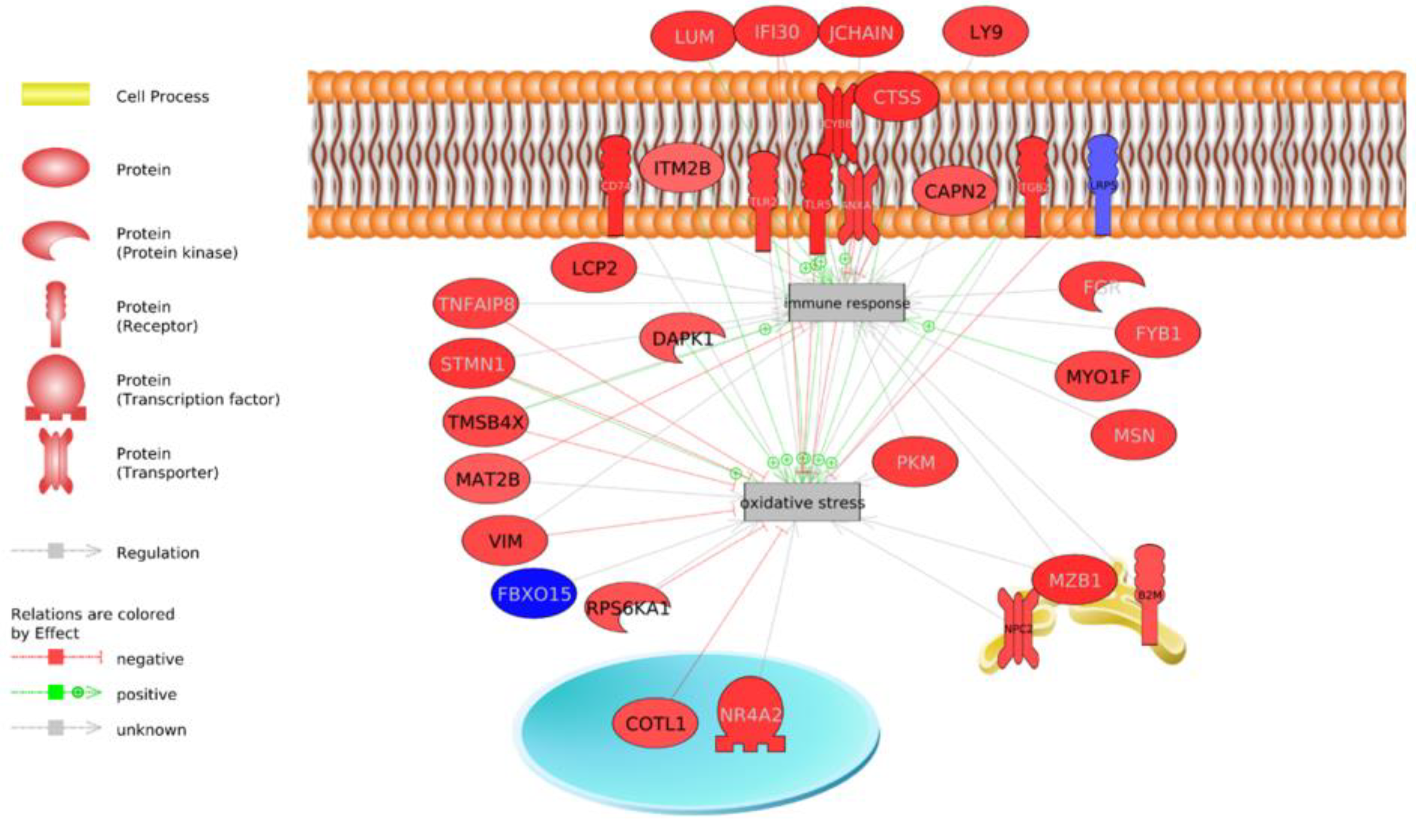 Animals 13 00359 g004