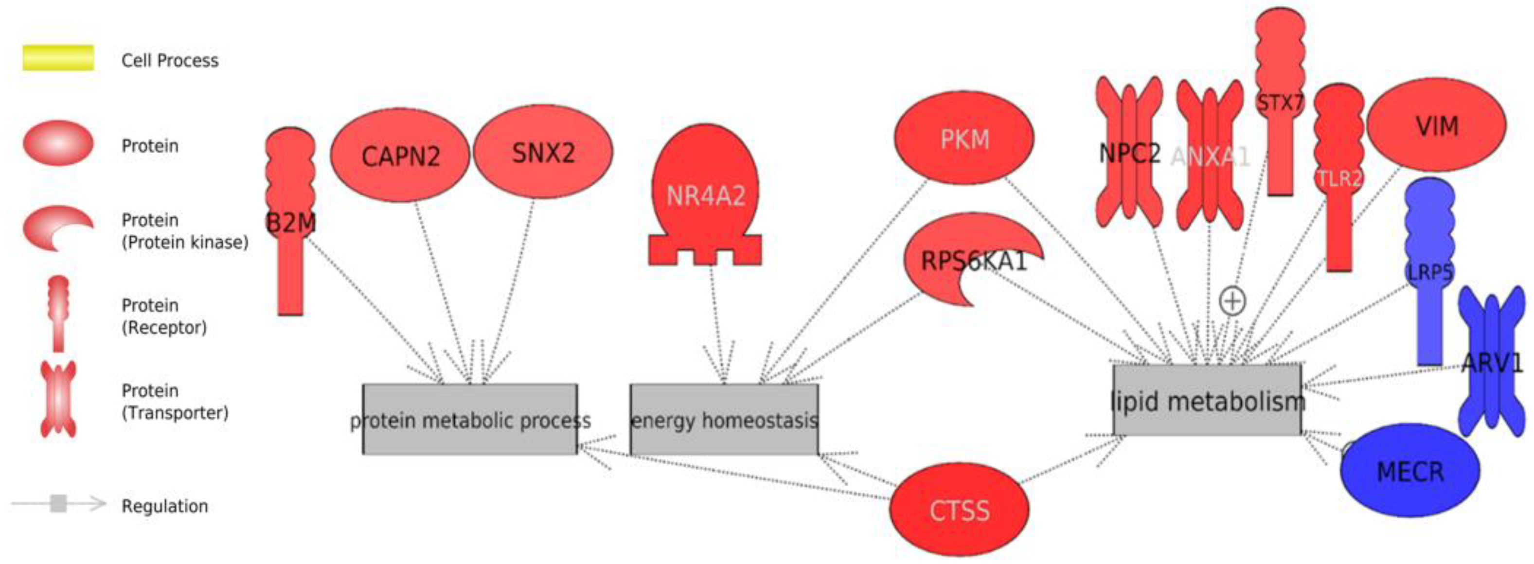 Animals 13 00359 g005