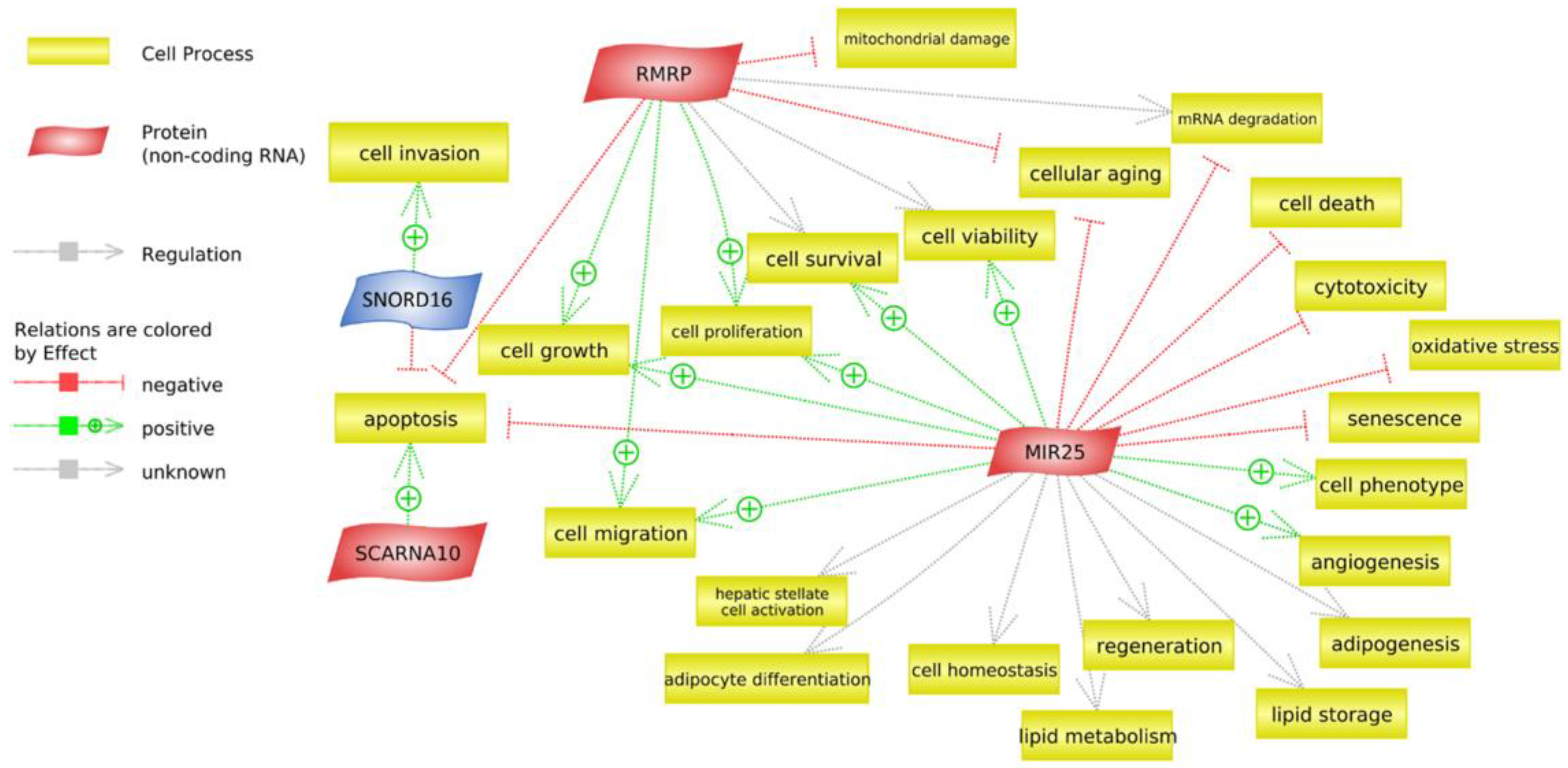 Animals 13 00359 g006