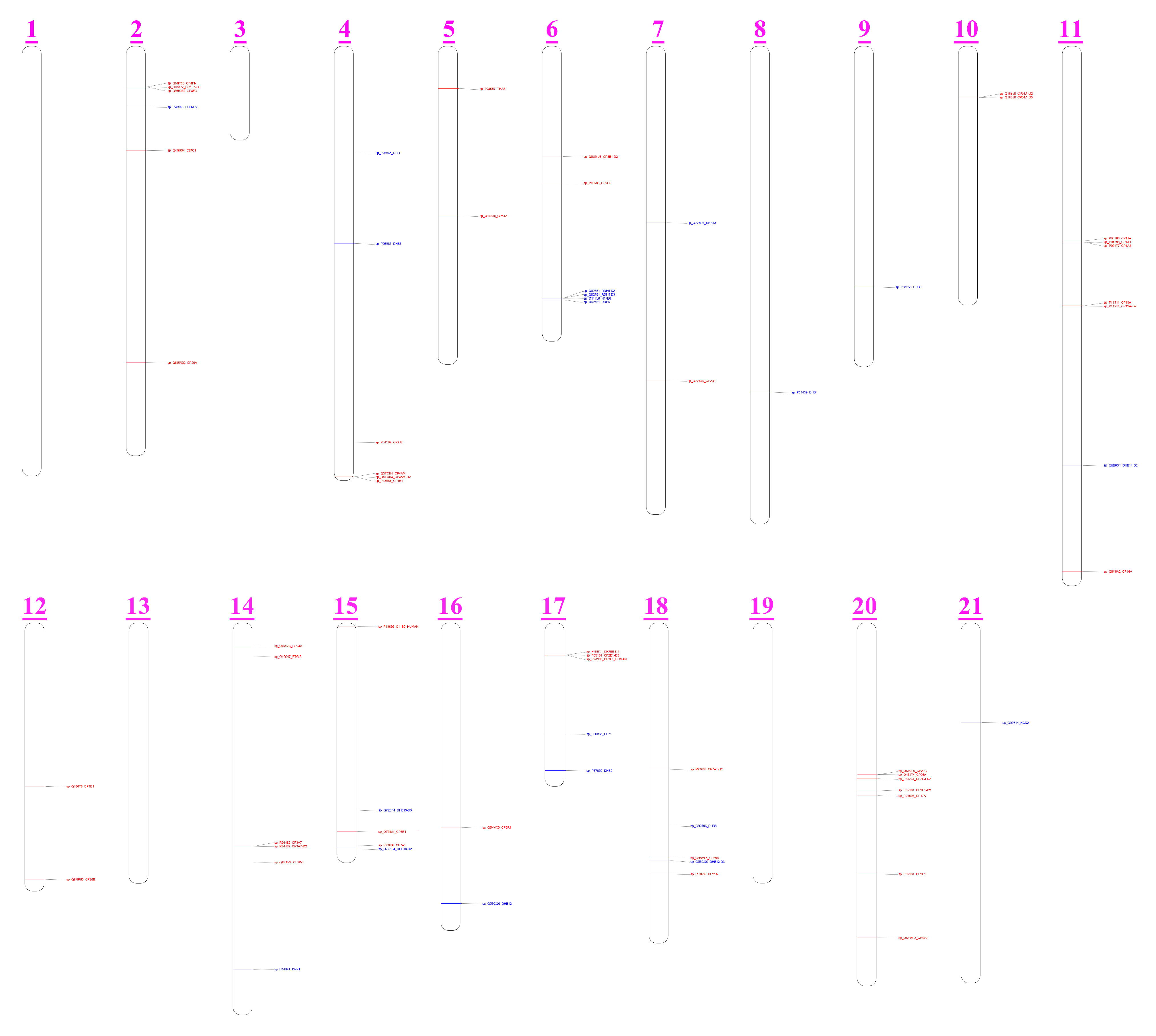 Animals 13 00361 g007 Animals 13 00361 g007