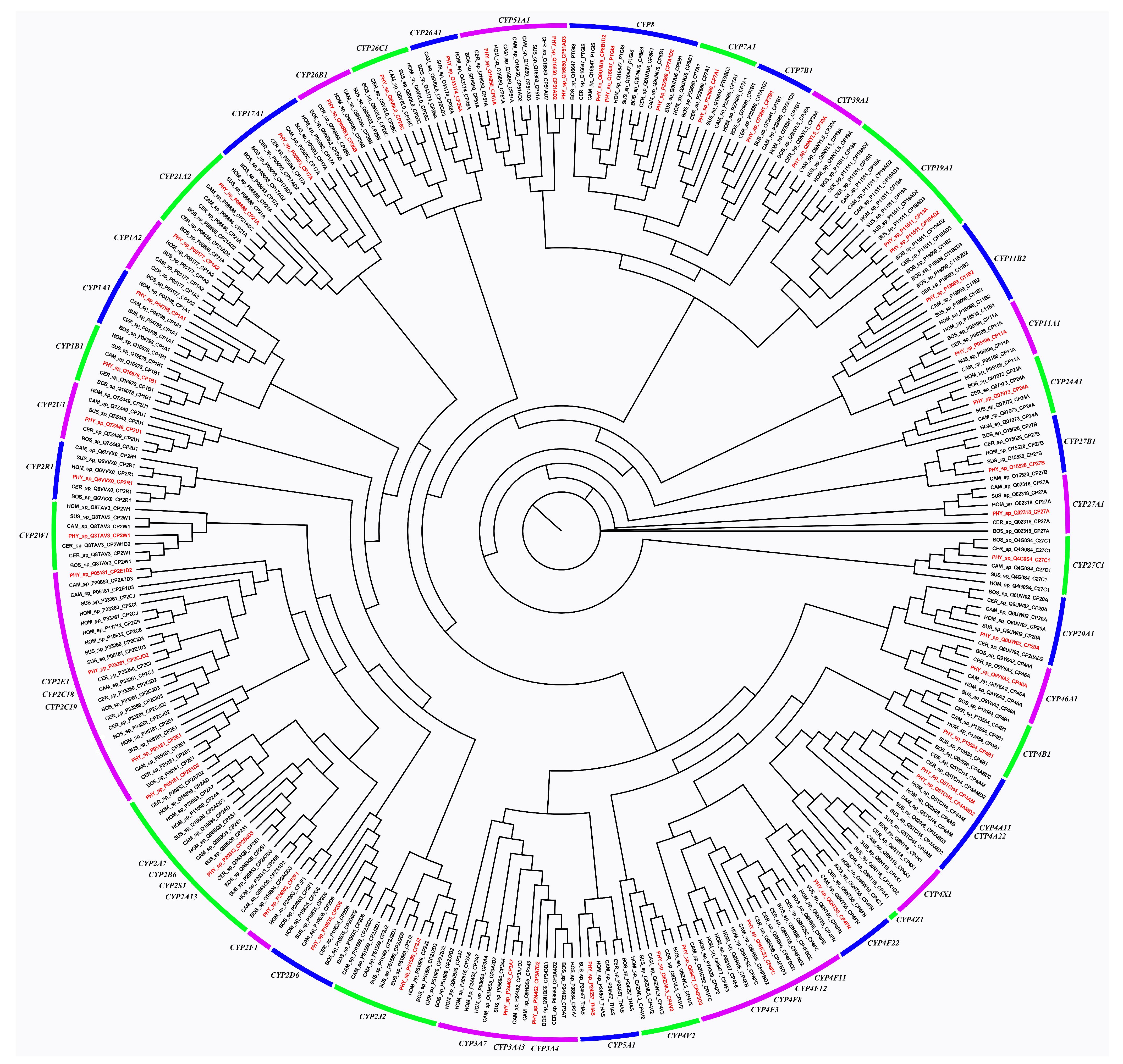 Animals 13 00361 g008 Animals 13 00361 g008