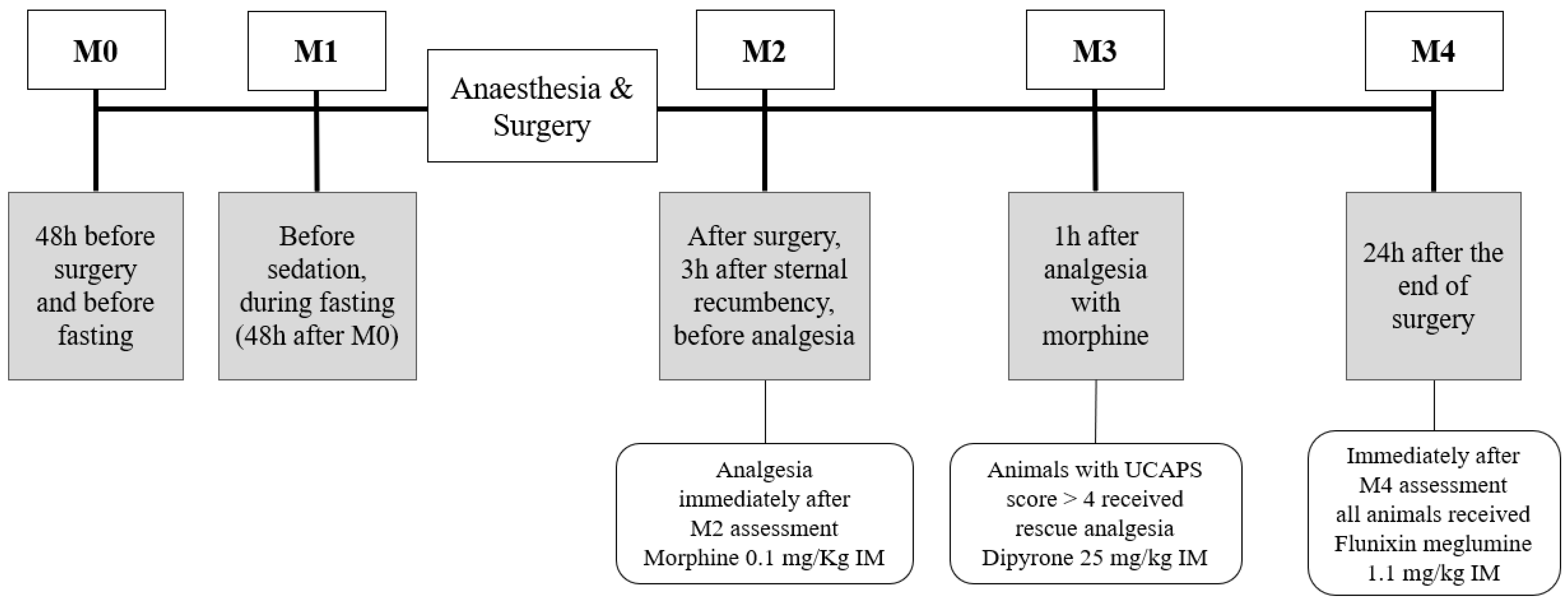 Animals 13 00364 g001 Animals 13 00364 g001