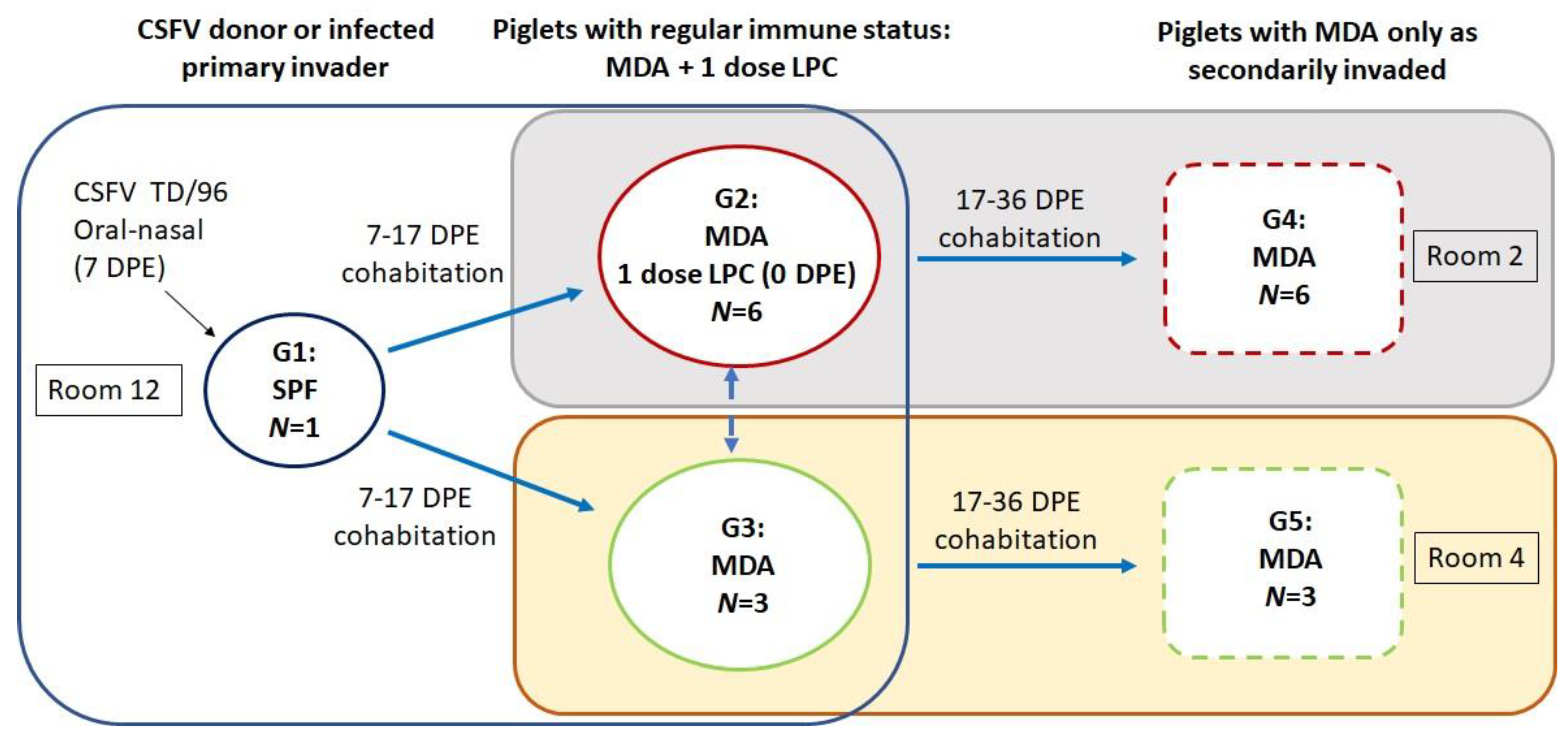 Animals 13 00368 g001