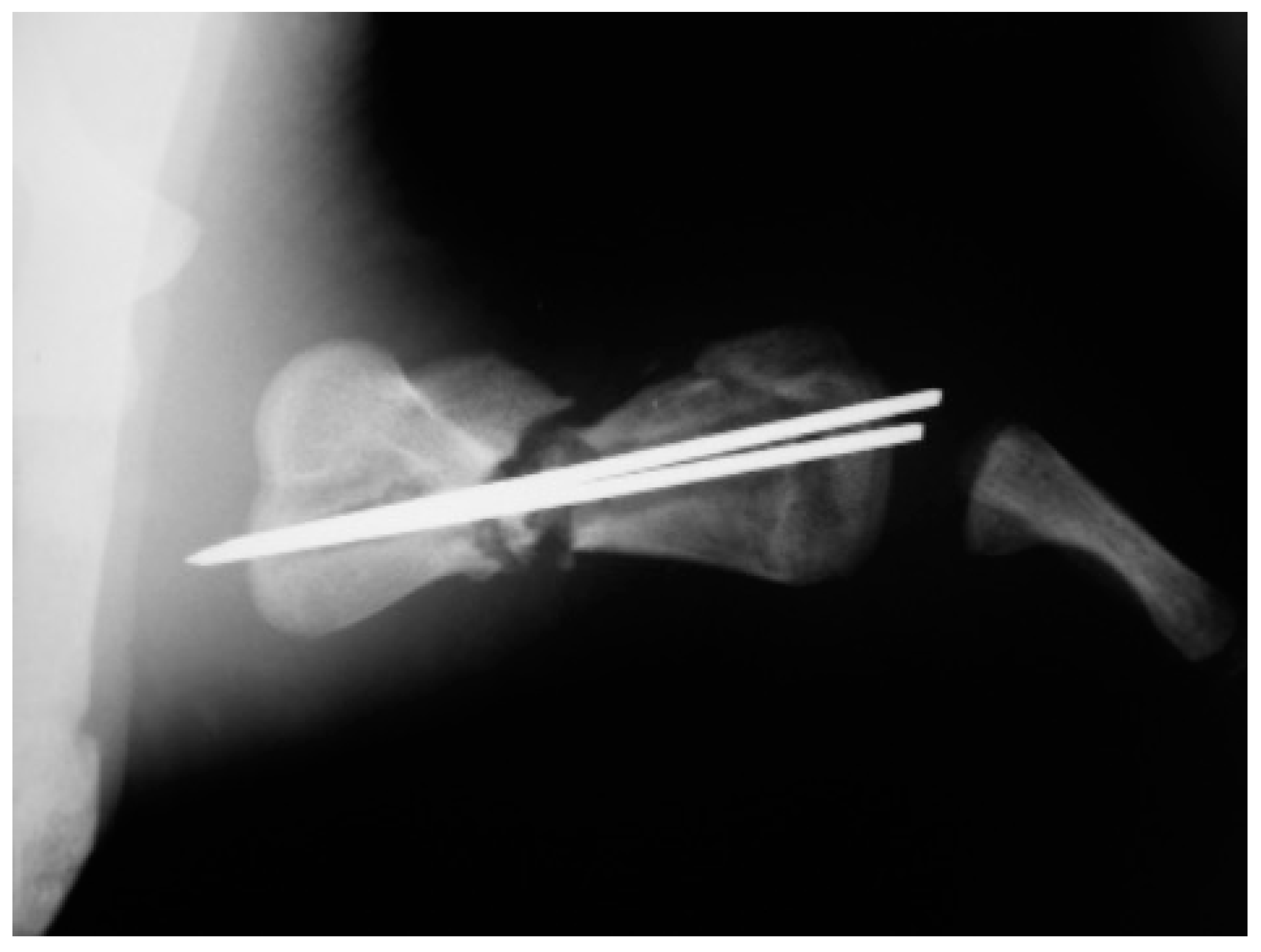 Animals 13 00376 g005