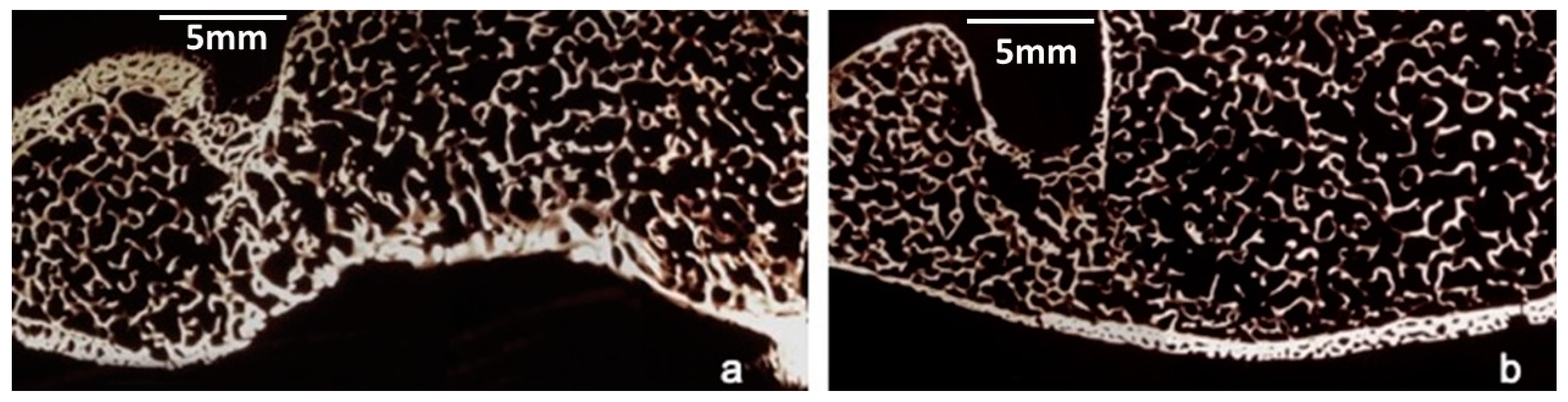 Animals 13 00376 g009