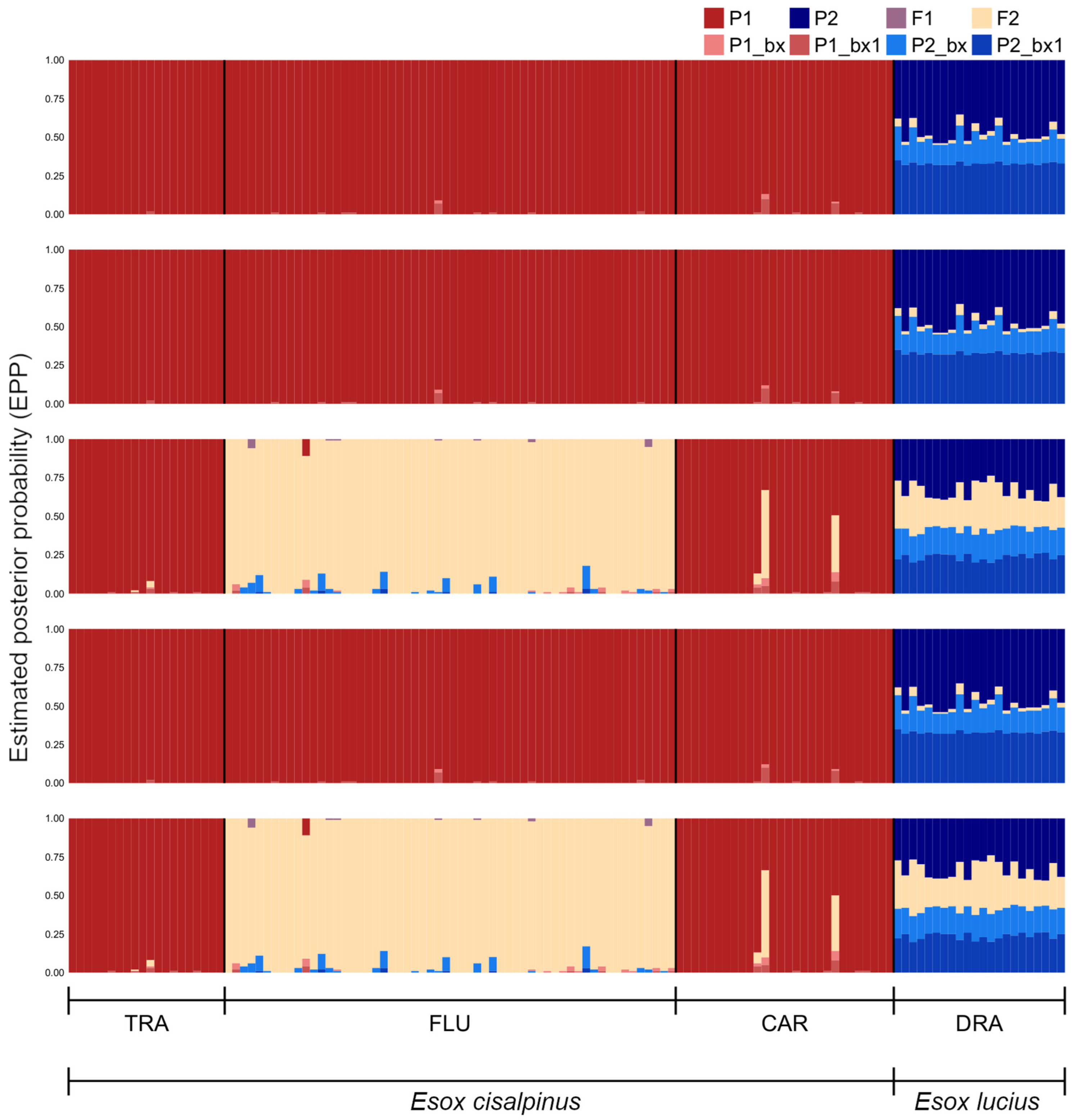 Animals 13 00380 g004
