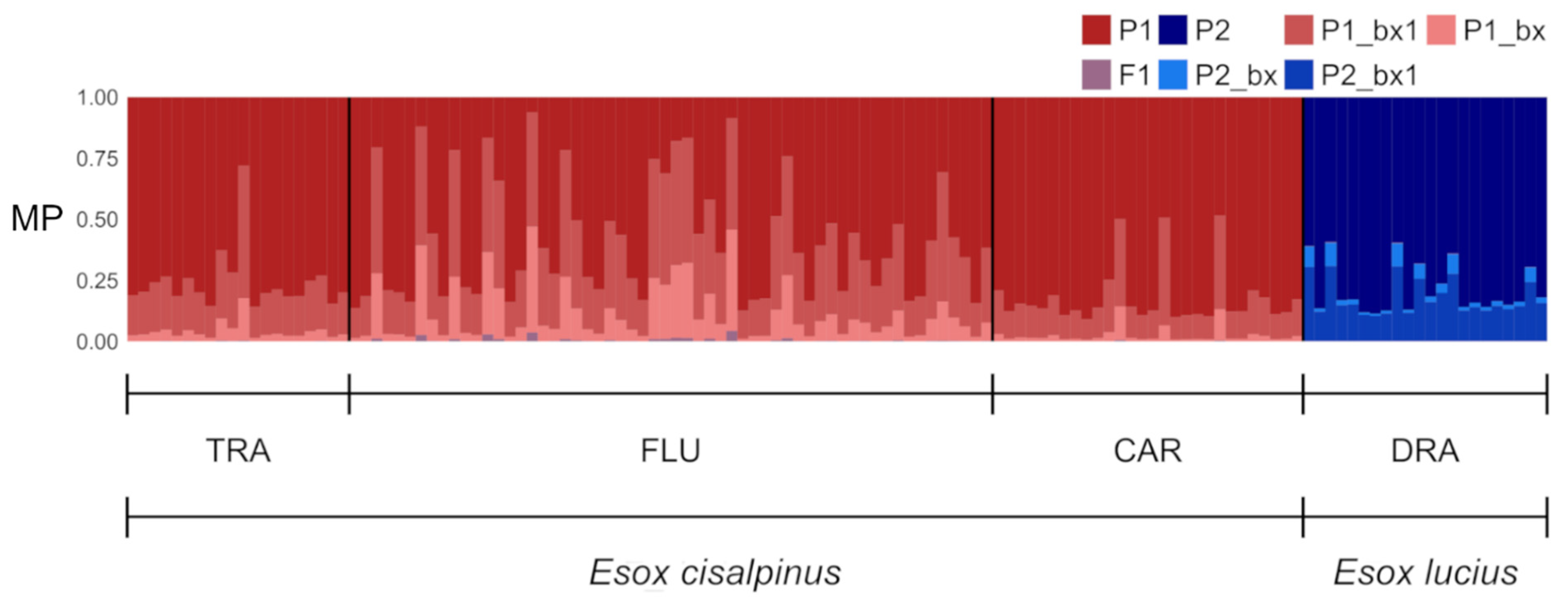 Animals 13 00380 g005