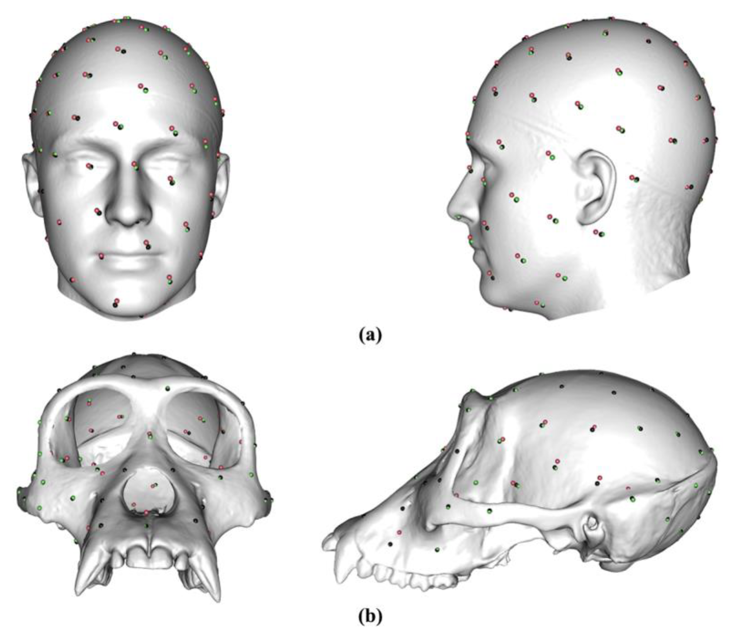 Animals 13 00385 g002