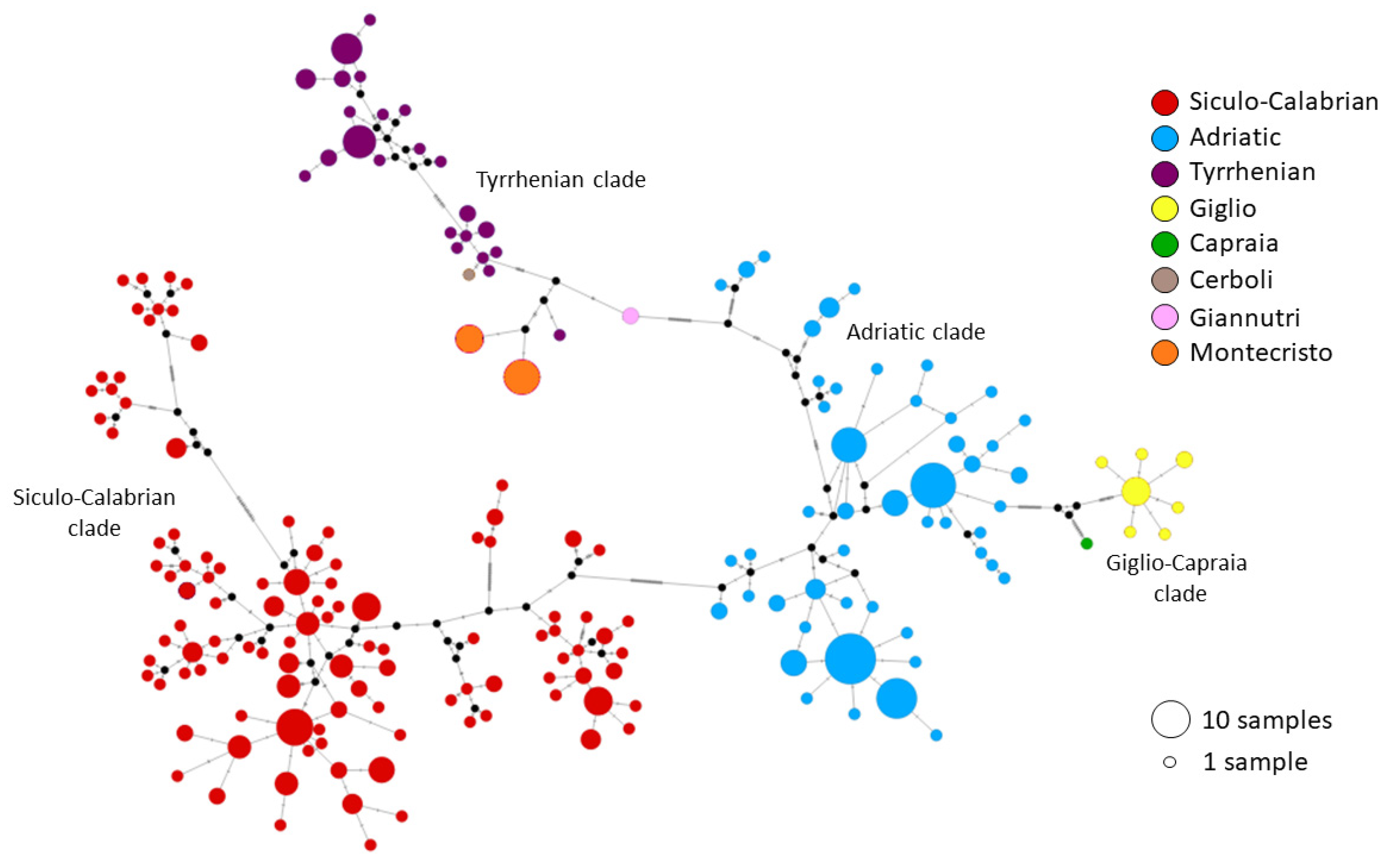 Animals 13 00386 g006 Animals 13 00386 g006