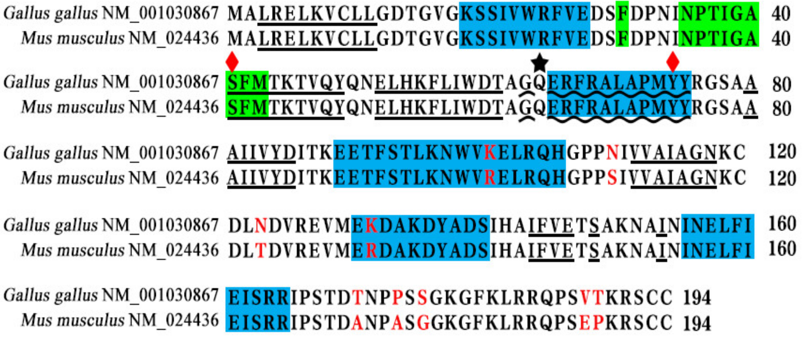 Animals 13 00387 g001 Animals 13 00387 g001