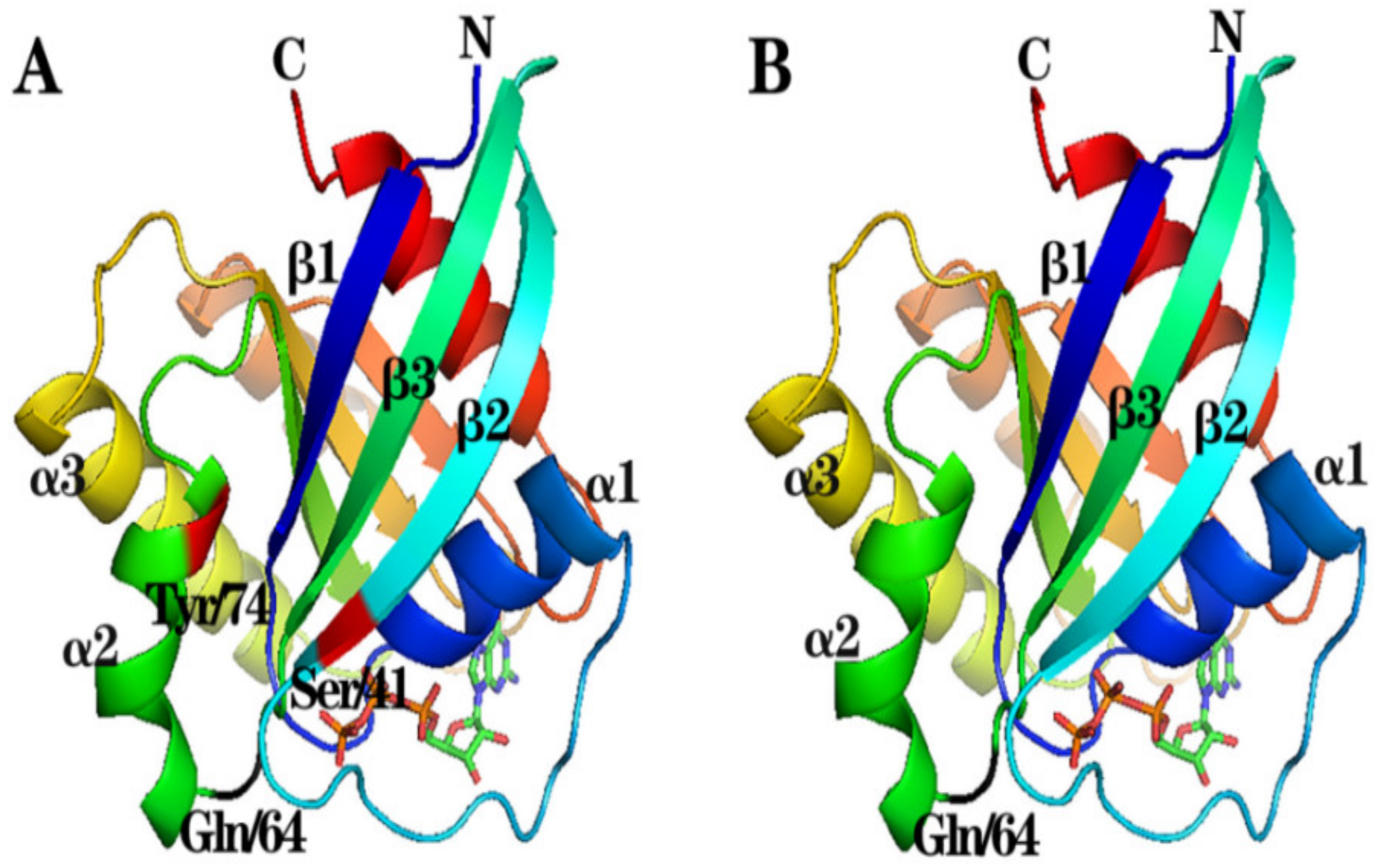 Animals 13 00387 g002 Animals 13 00387 g002