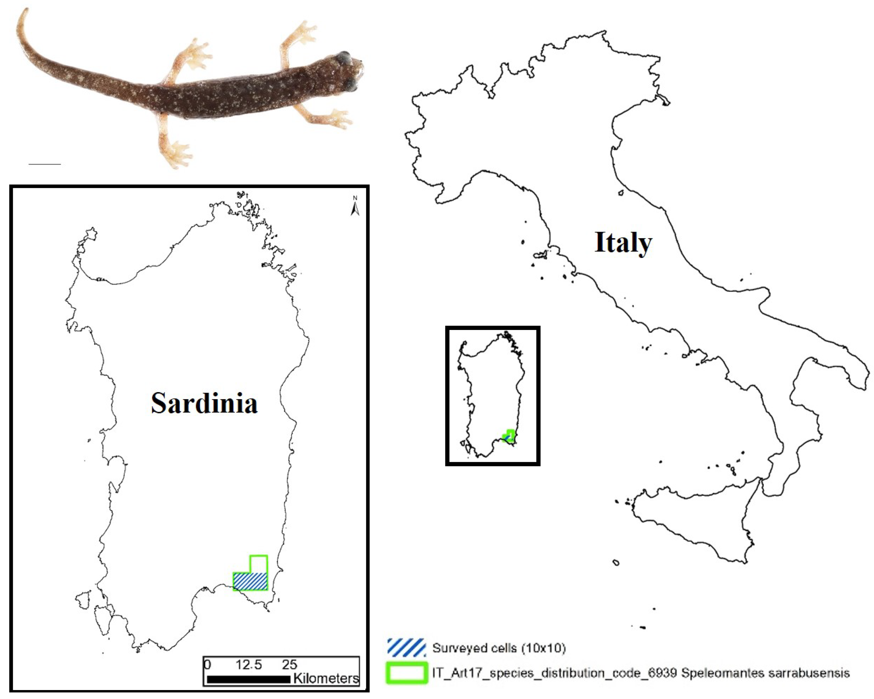 https://www.mdpi.com/animals/animals-13-00391/article_deploy/html/images/animals-13-00391-g001.png