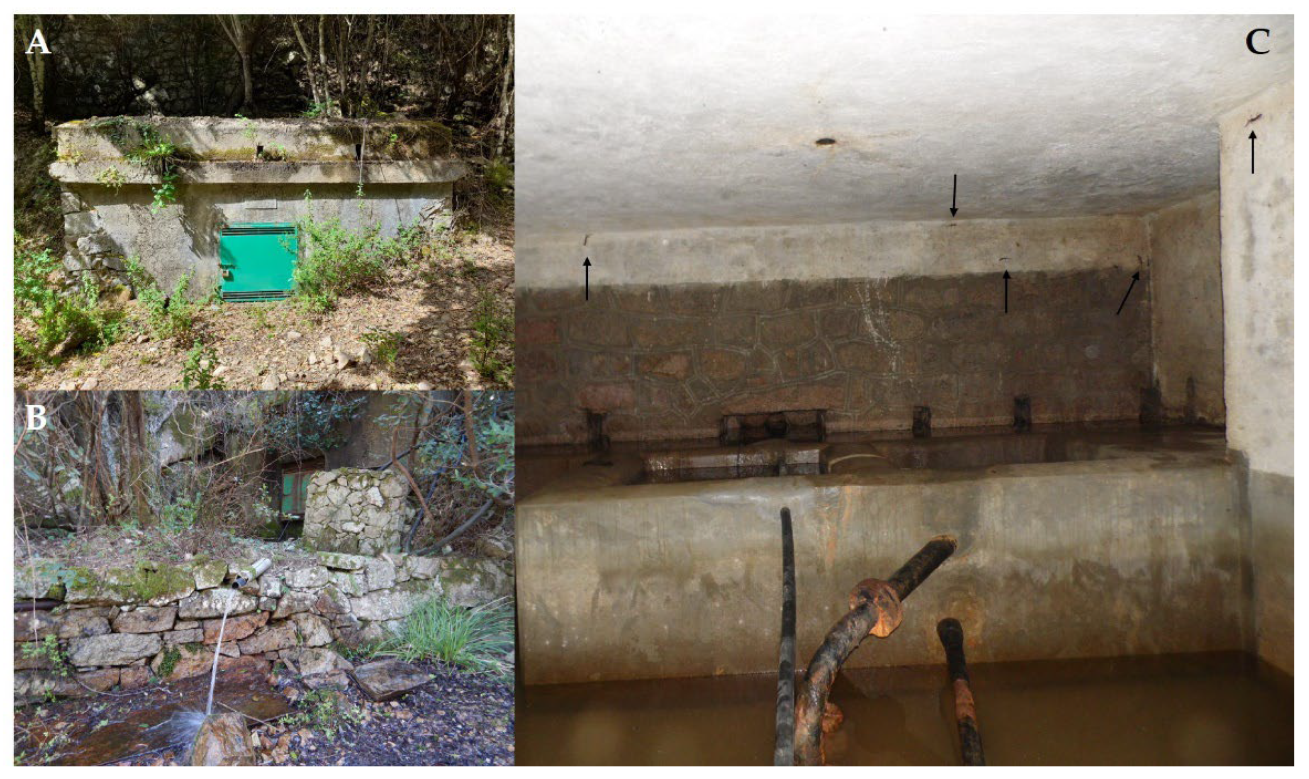 Animals 13 00391 g002