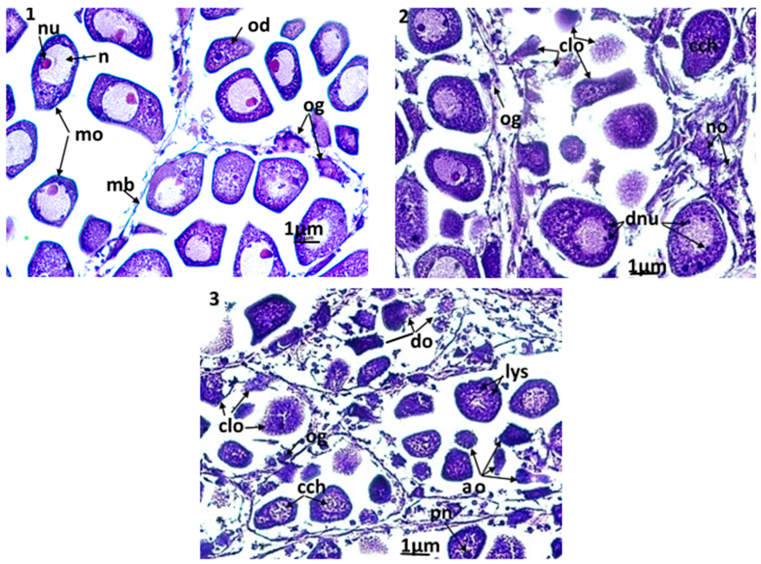 Animals 13 00402 g006 Animals 13 00402 g006