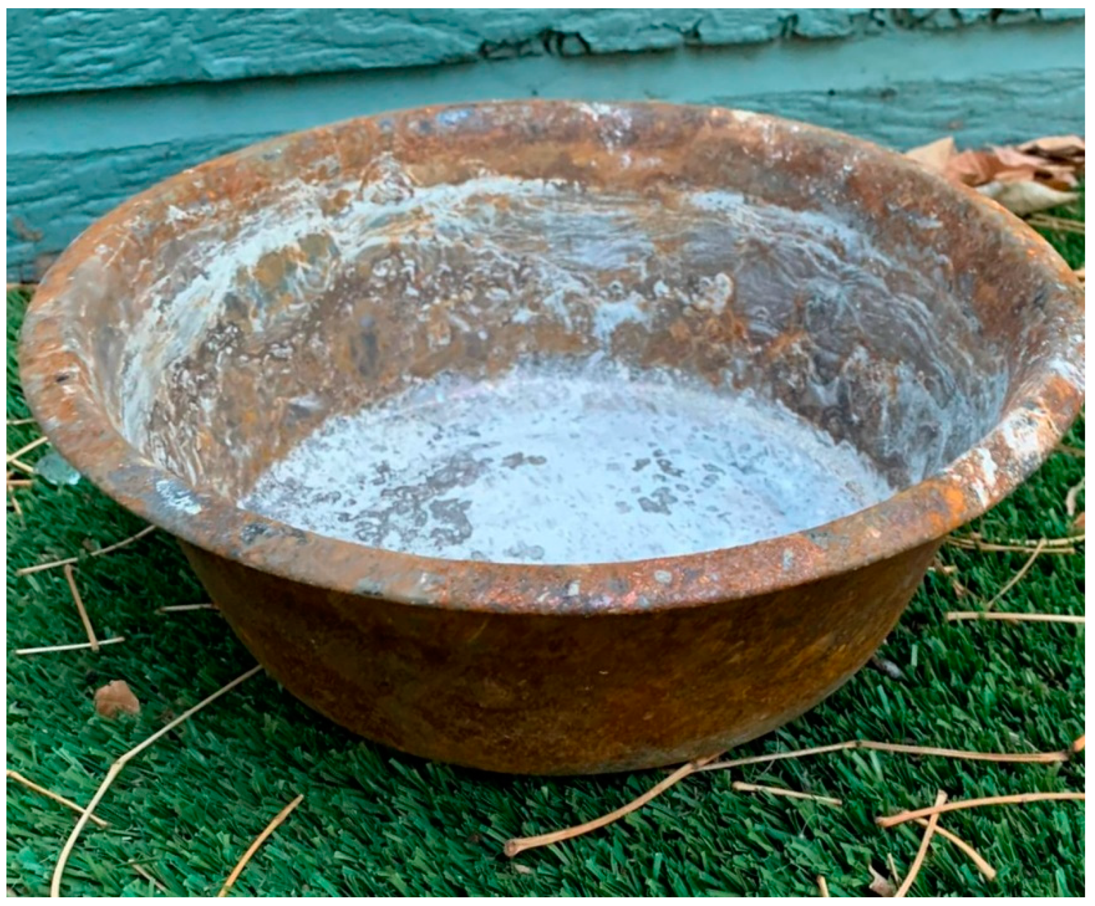 Animals 13 00416 g001 Animals 13 00416 g001