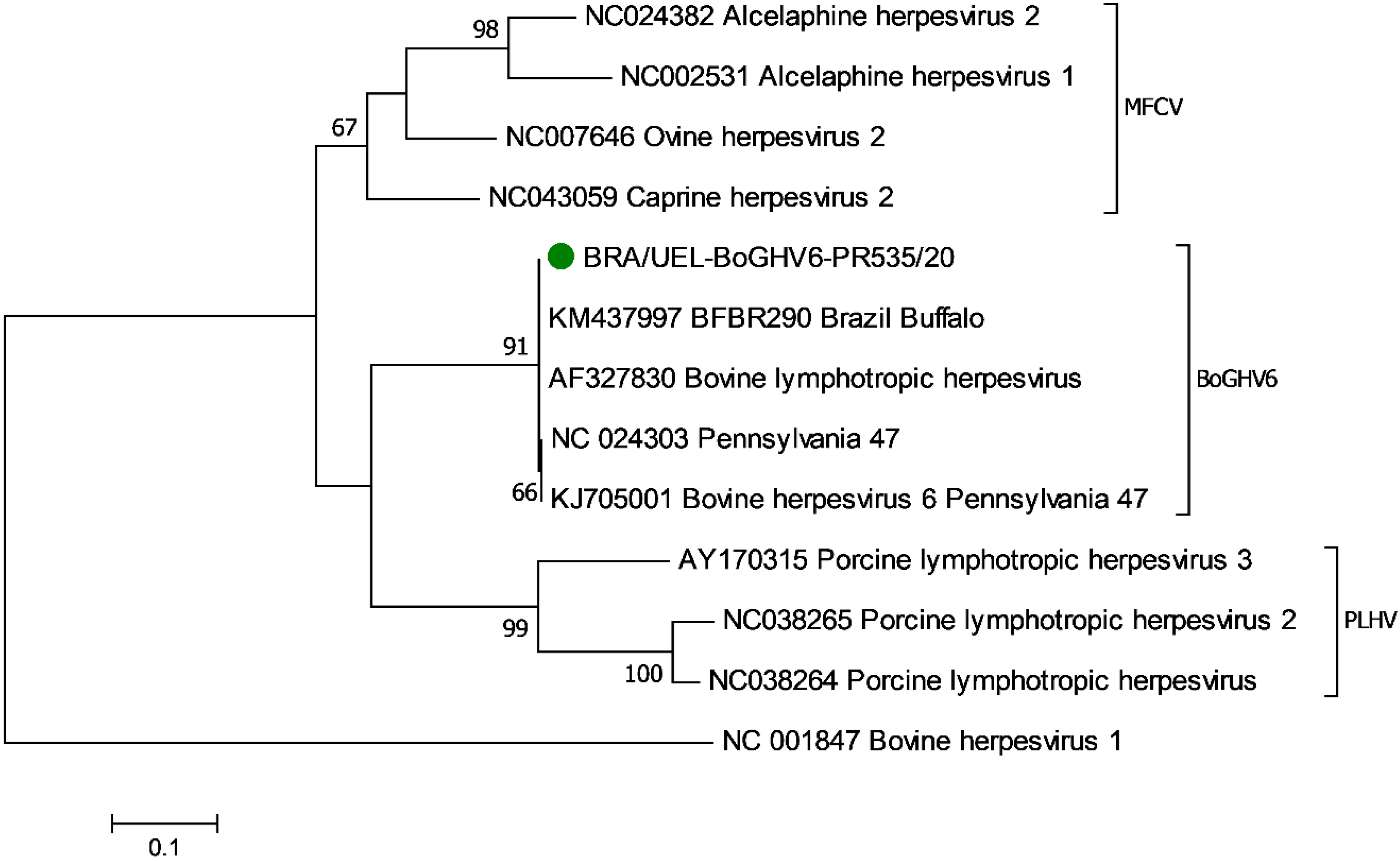 Animals 13 00417 g003 Animals 13 00417 g003