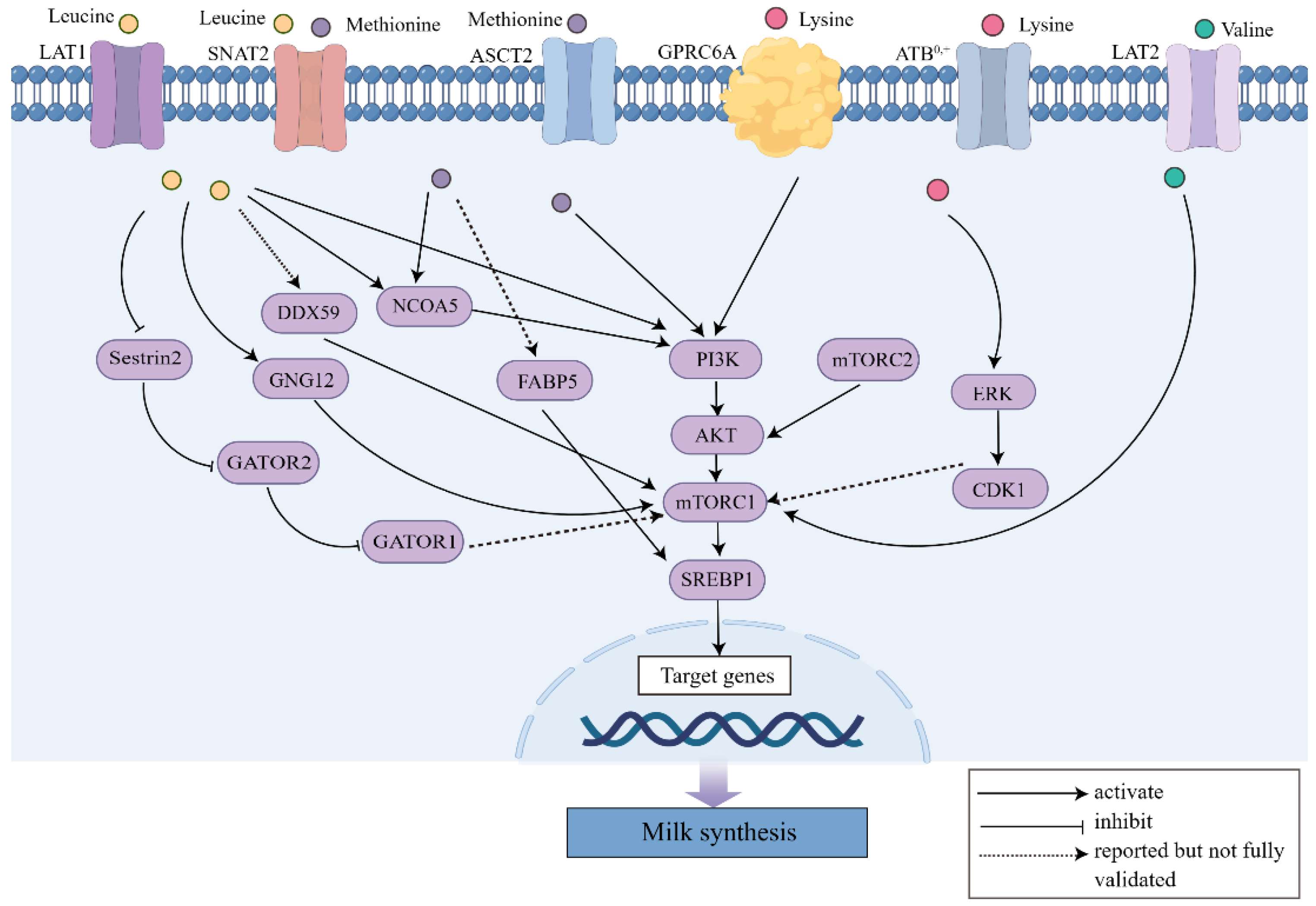 Animals 13 00419 g001