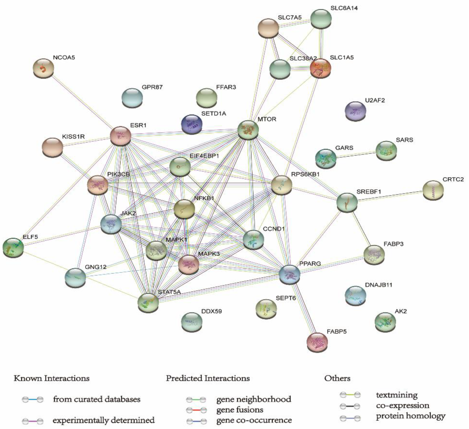 Animals 13 00419 g002