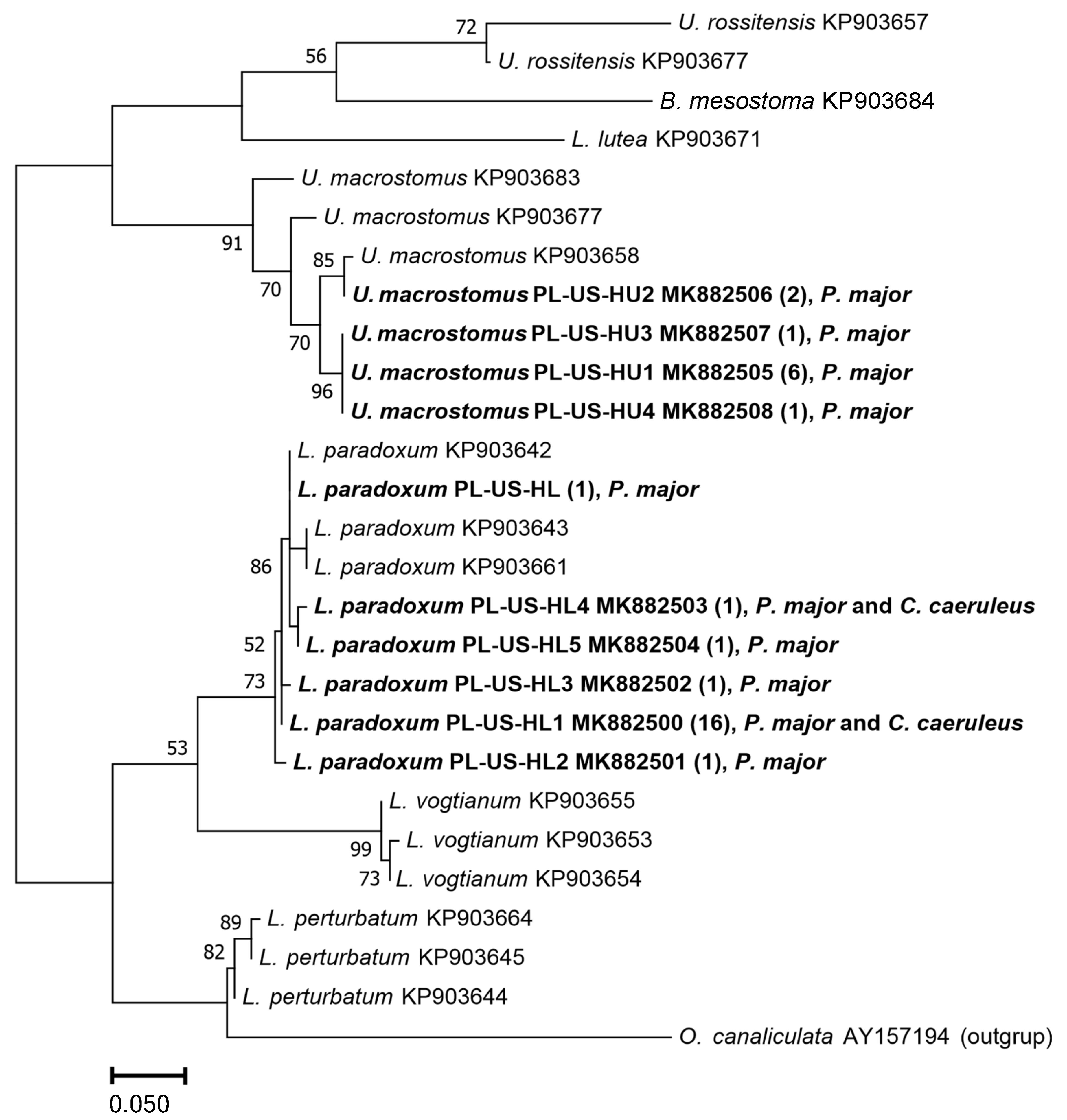 Animals 13 00421 g001 Animals 13 00421 g001