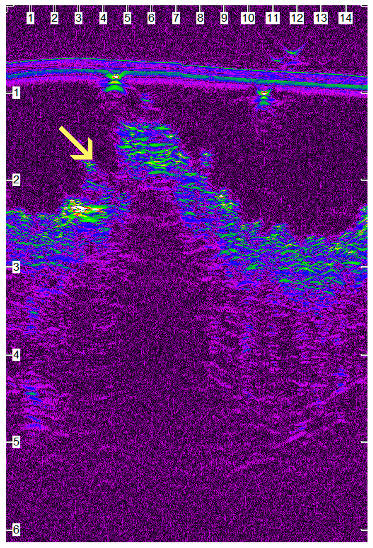 Animals 13 00426 g012