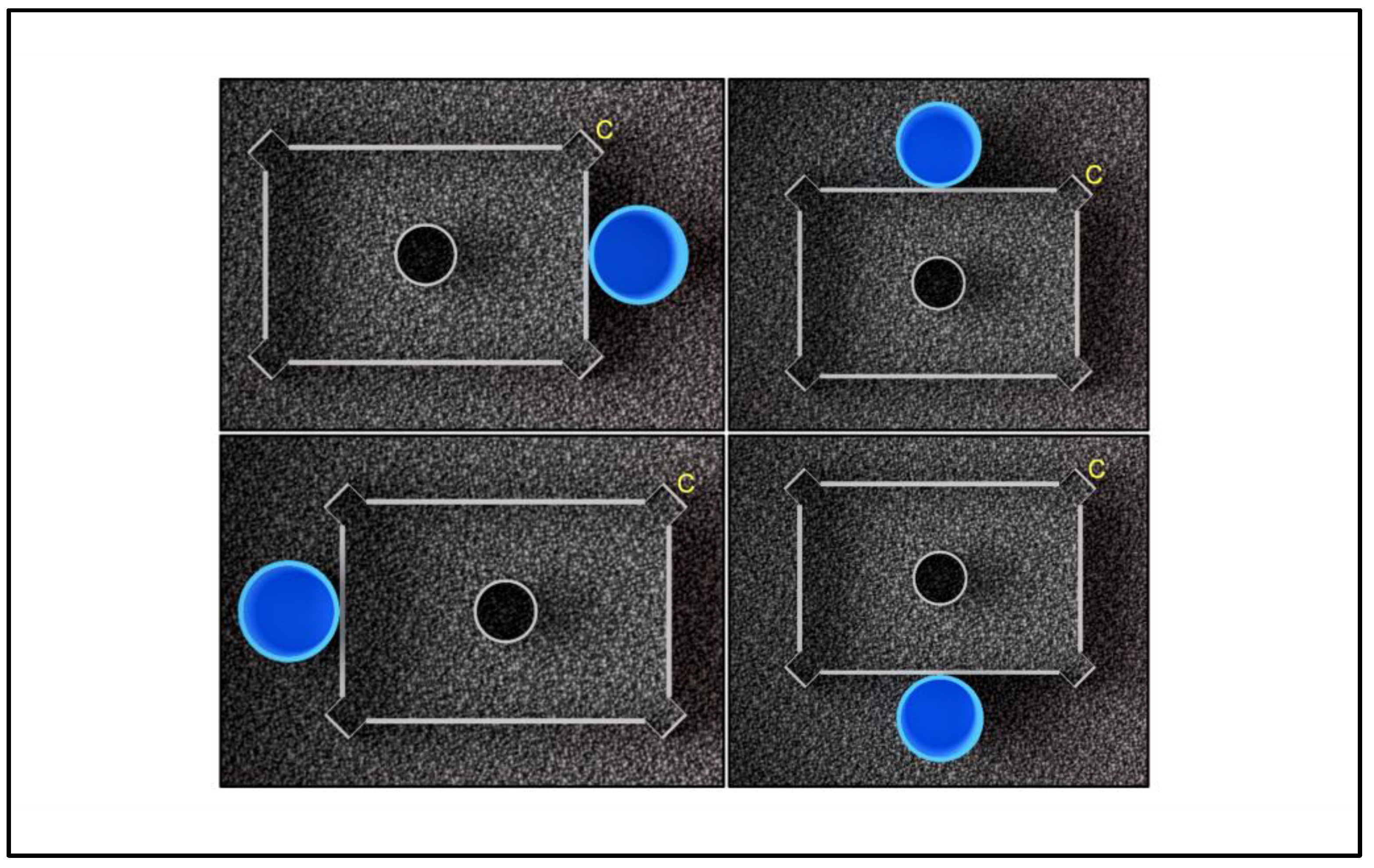 Animals 13 00440 g002