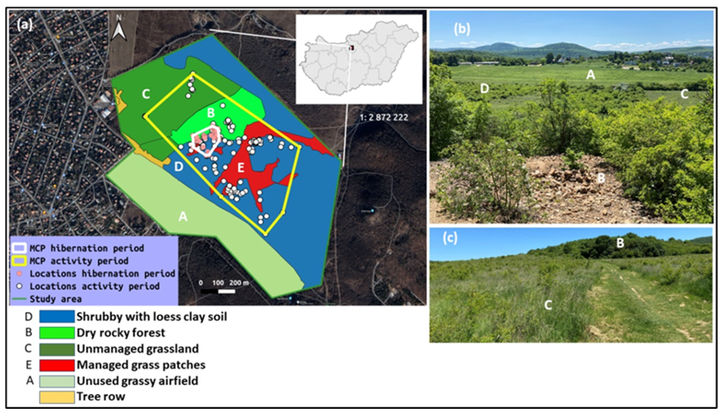 Animals 13 00447 g001 Animals 13 00447 g001