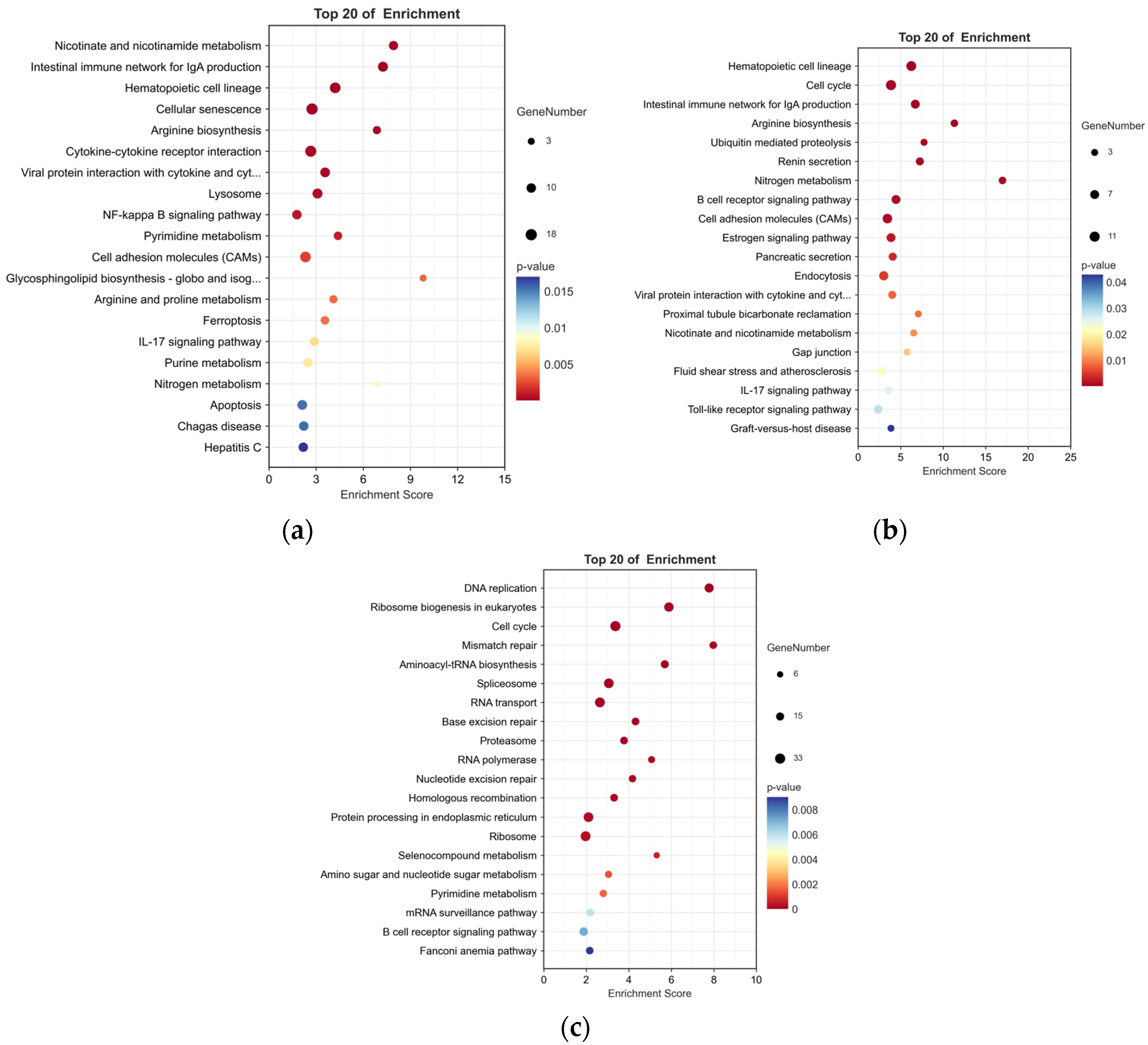 Animals 13 00449 g004 Animals 13 00449 g004