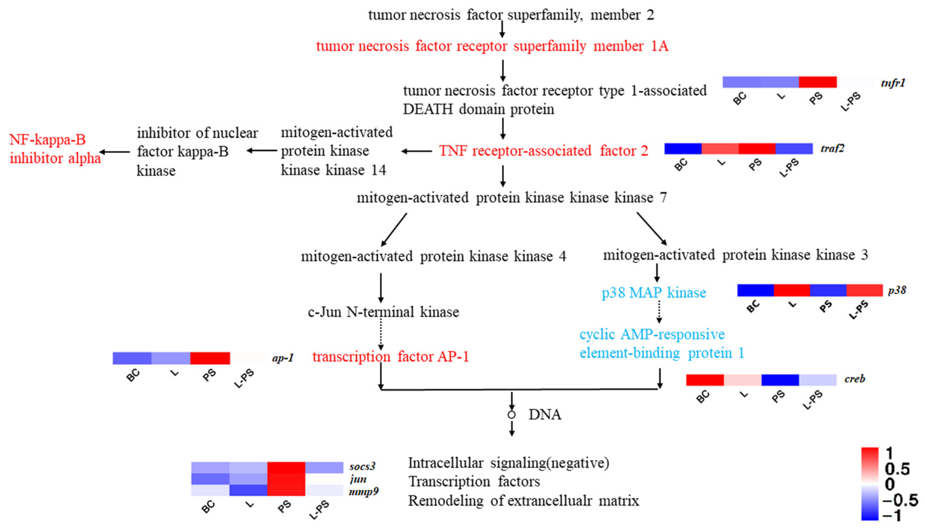 Animals 13 00449 g006 Animals 13 00449 g006