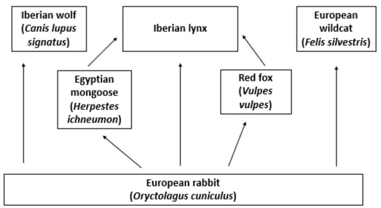 How Should We Help Wild Animals Cope with ... Biology Diagrams