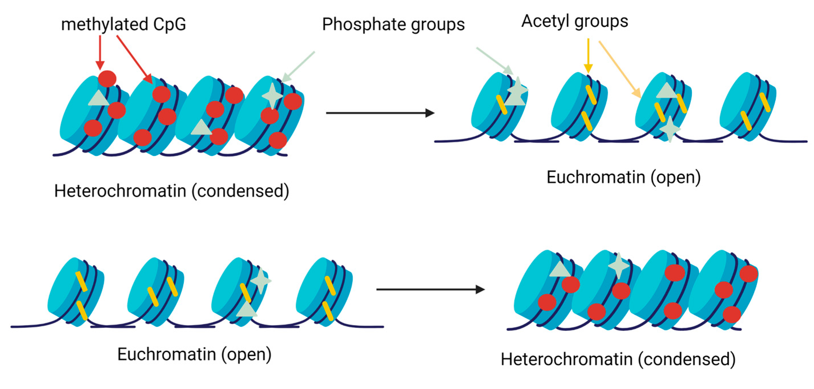 Animals 13 00468 g003