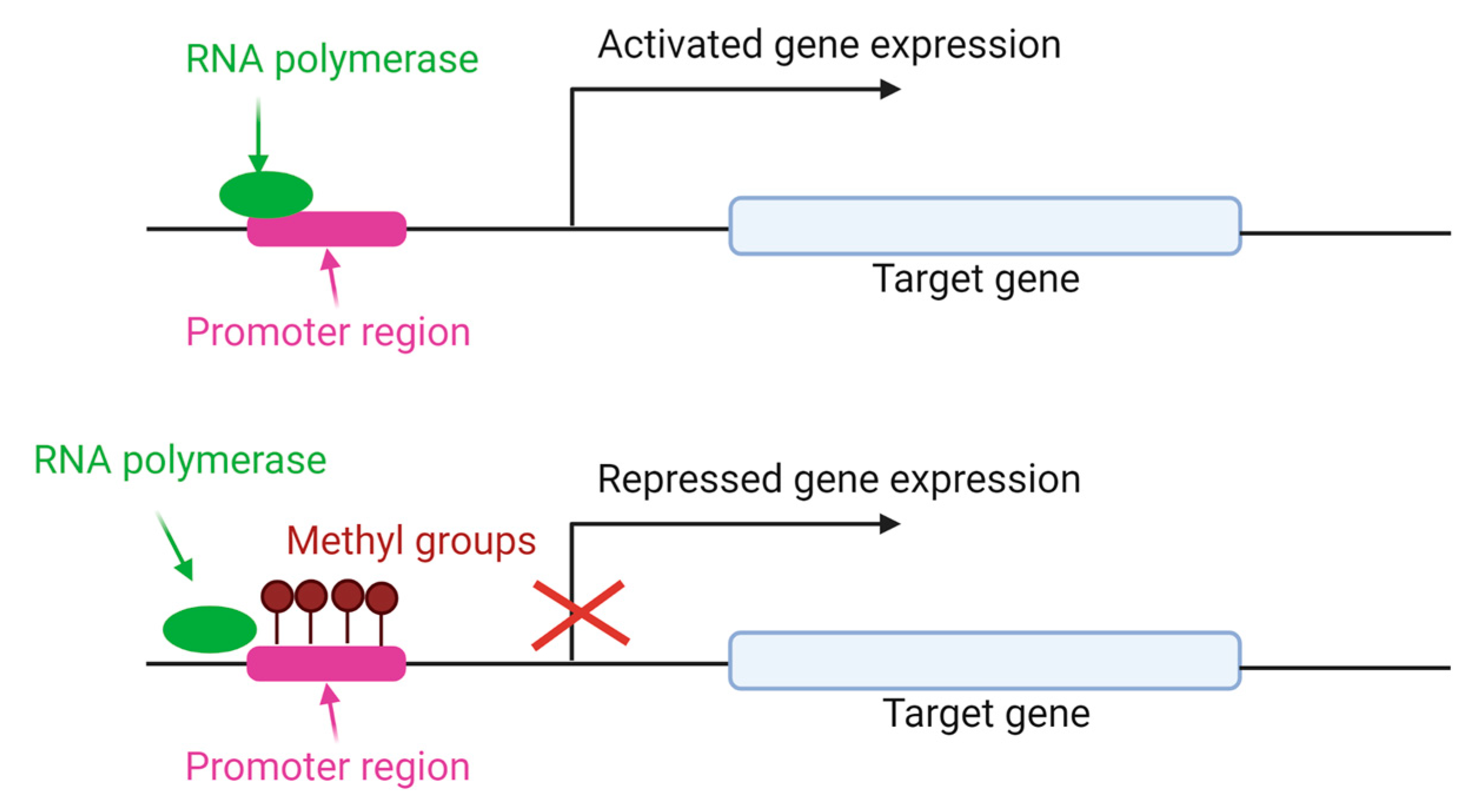 Animals 13 00468 g004