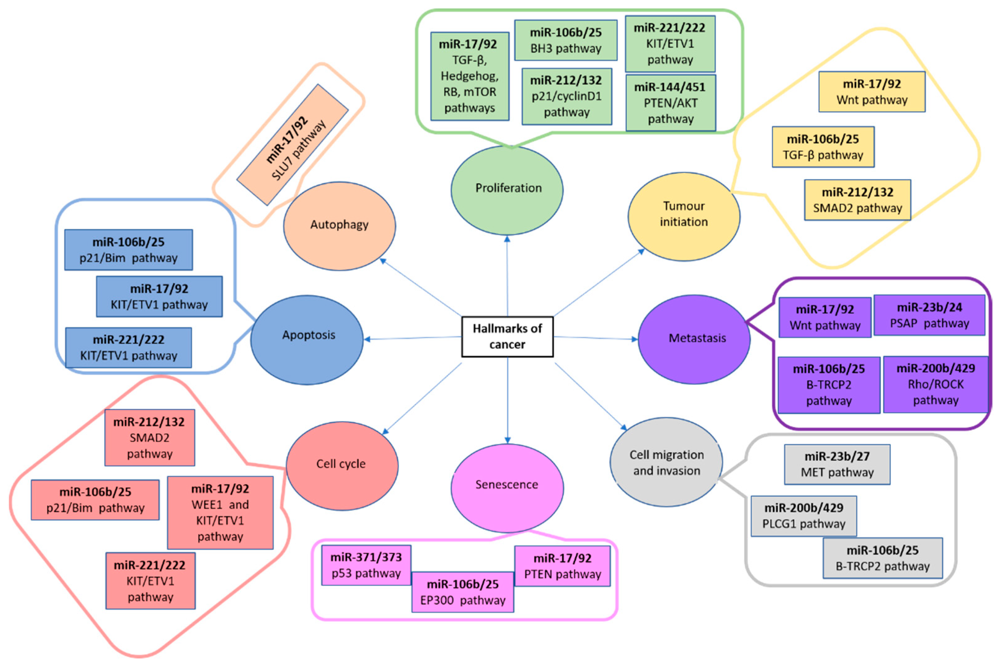 Animals 13 00468 g006