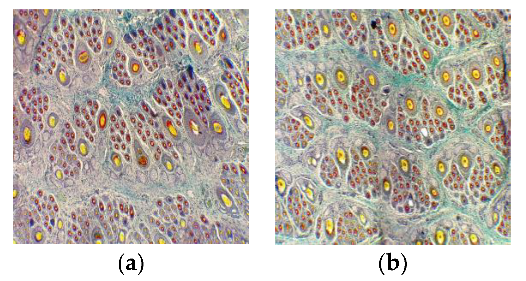 Animals 13 00473 g003