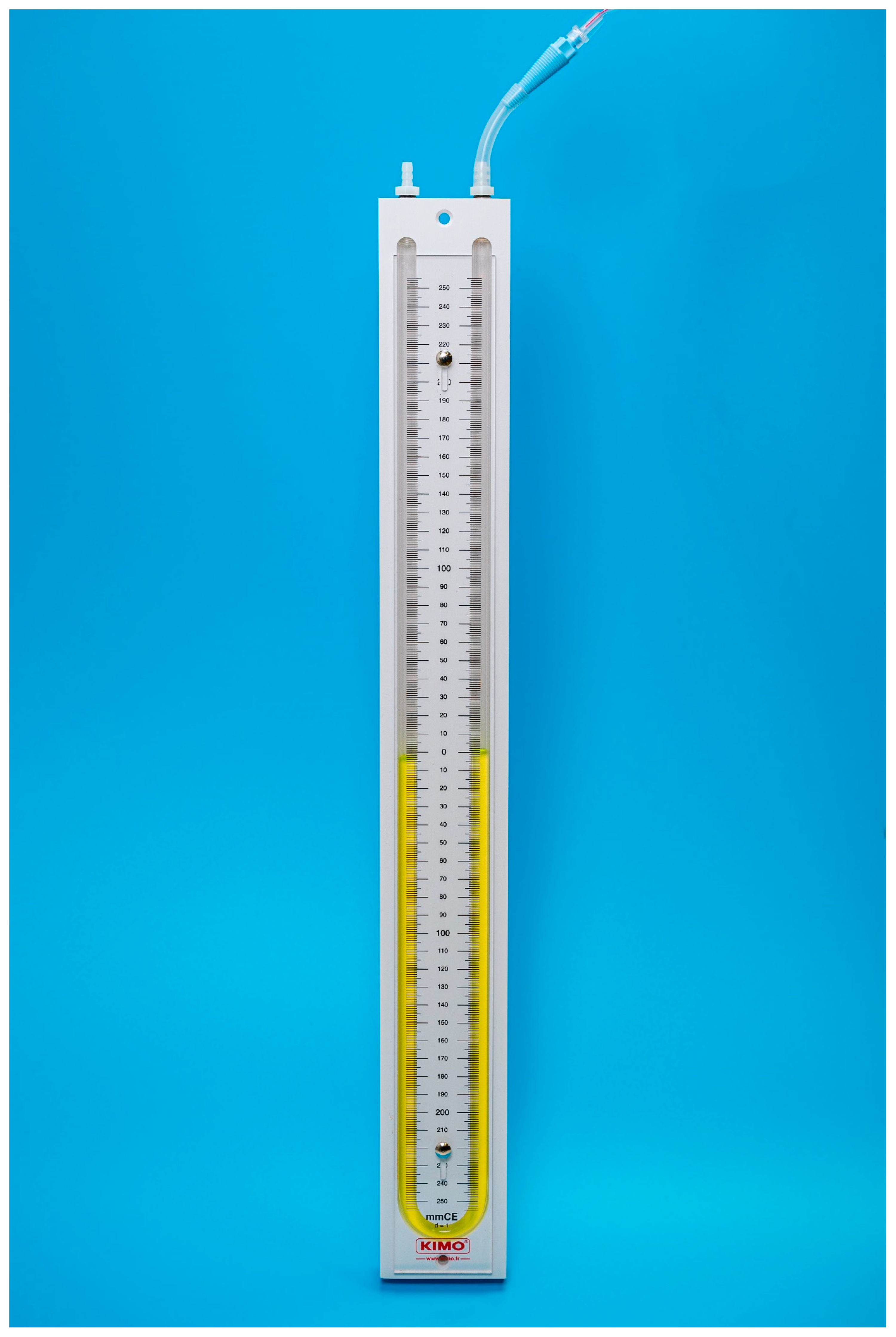 Animals 13 00475 g004