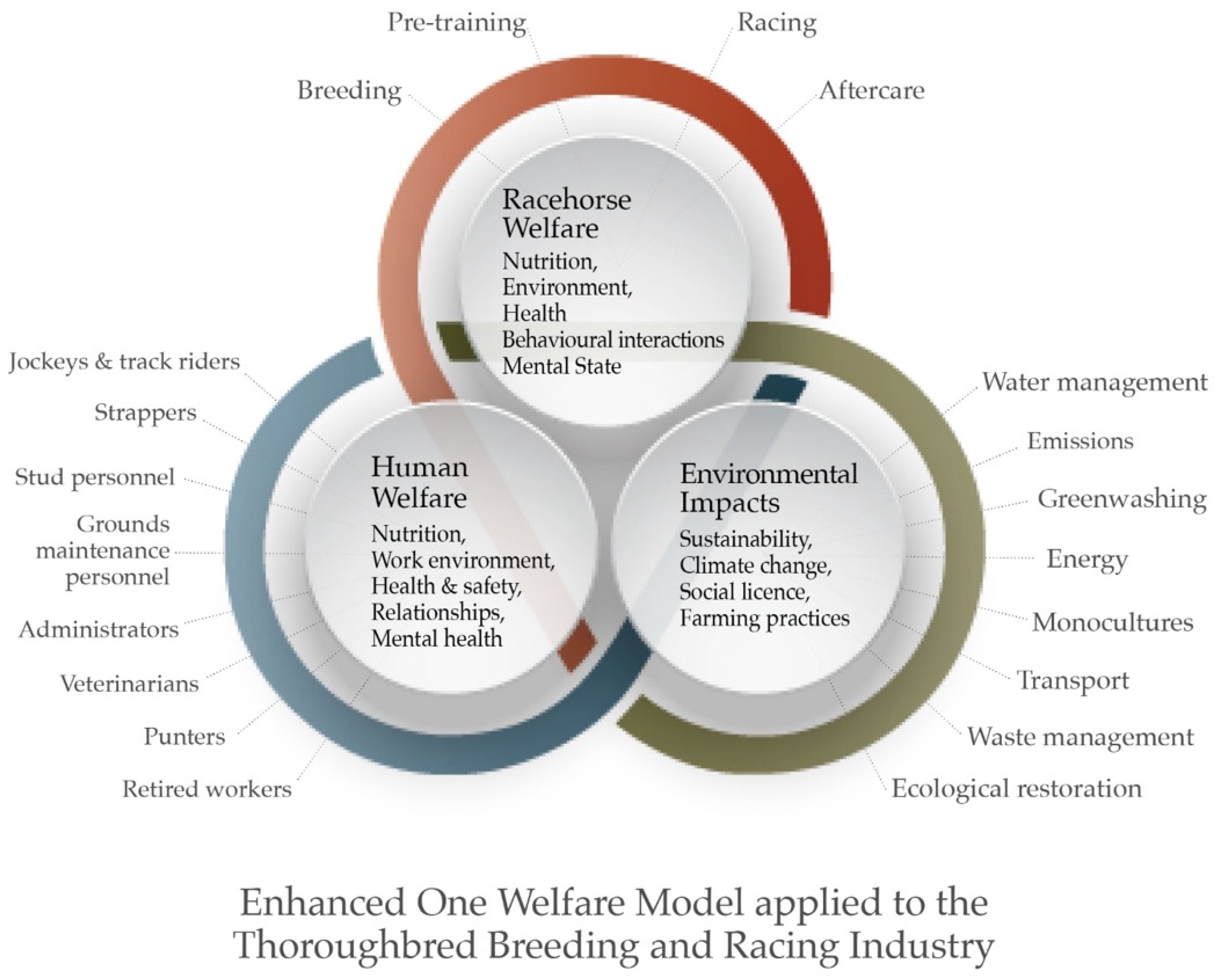 Animals Free Full-Text Sustainability and the Thoroughbred Breeding and Racing Industries An Enhanced One Welfare Perspective