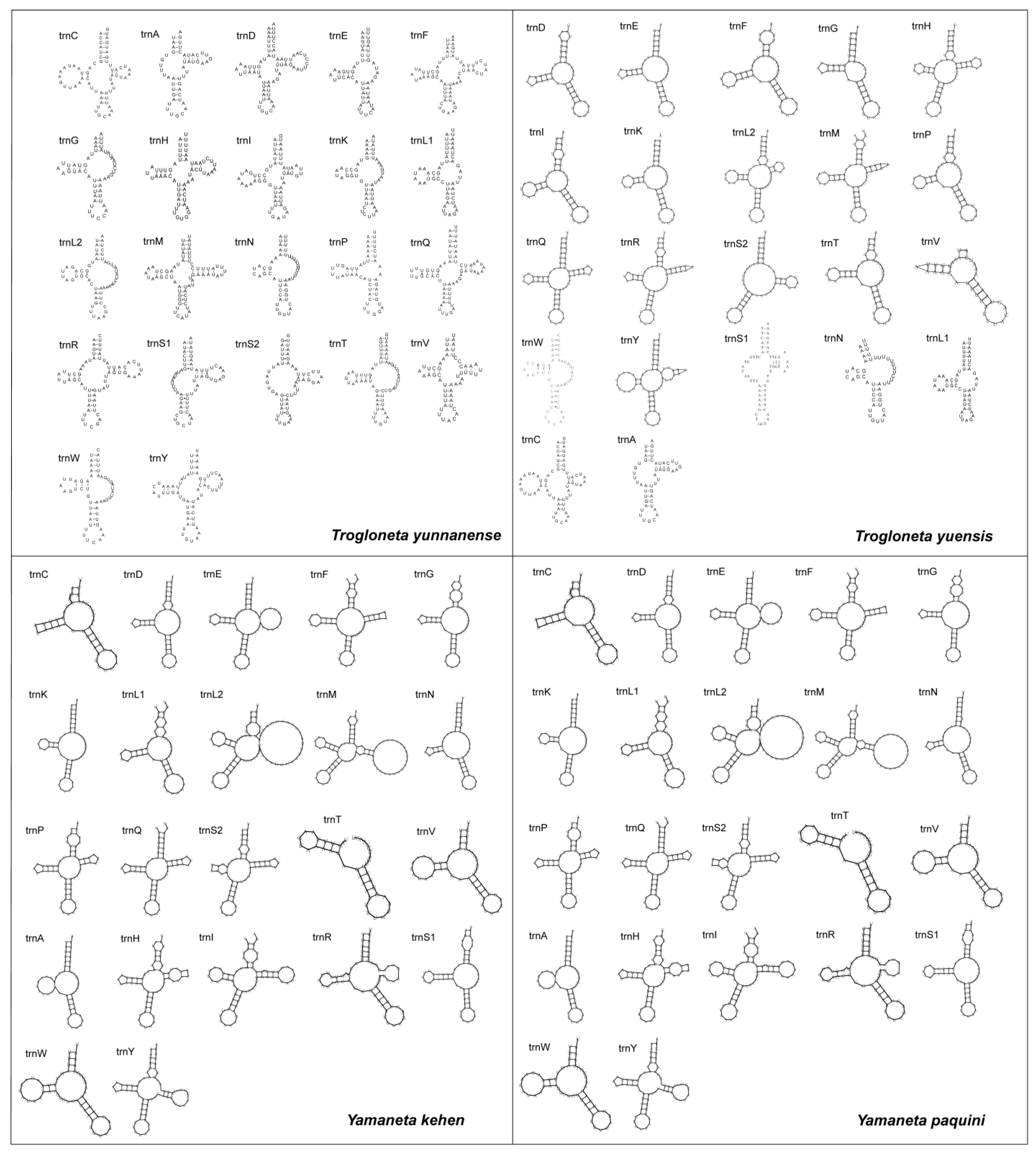 Animals 13 00497 g004