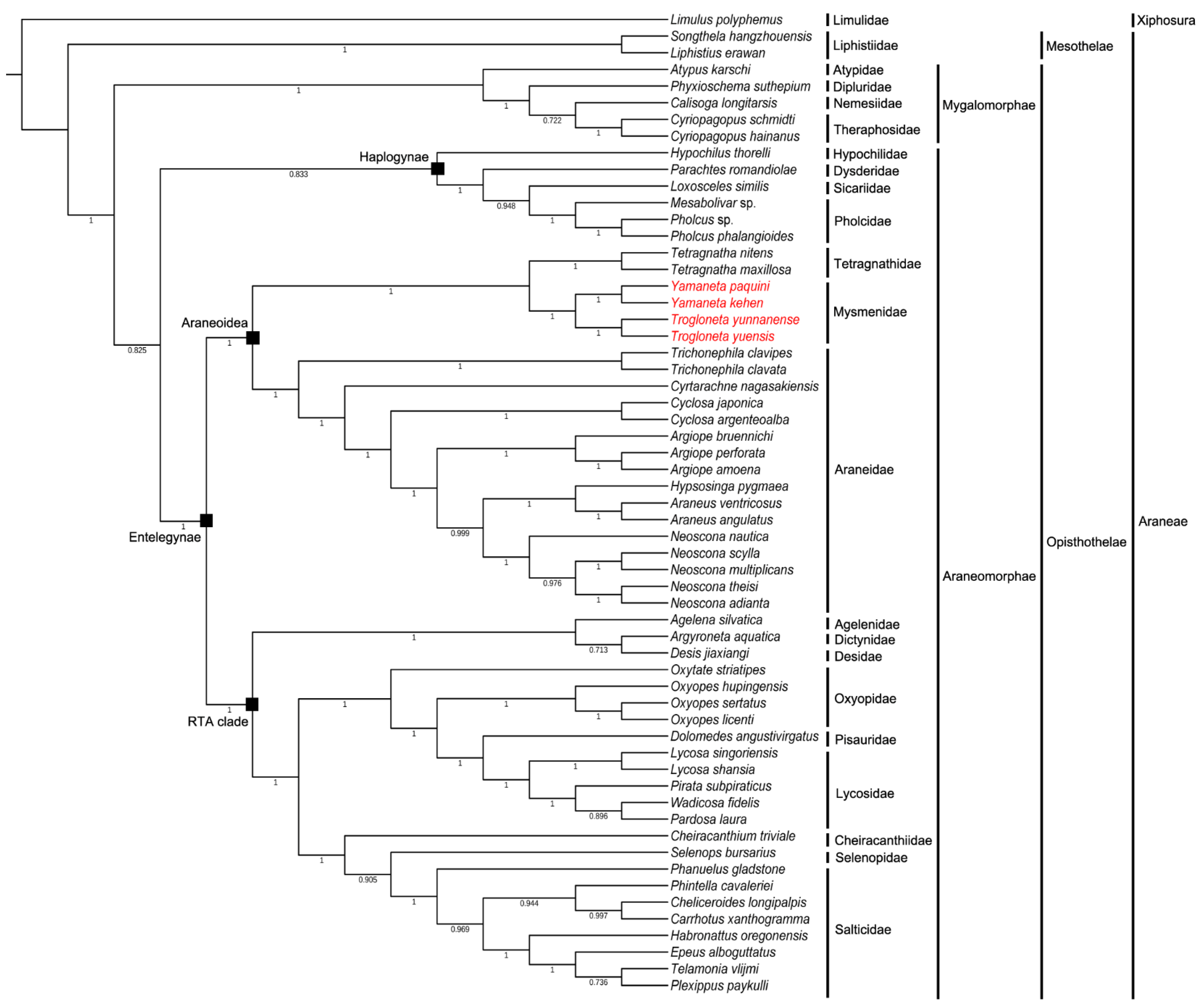 Animals 13 00497 g005