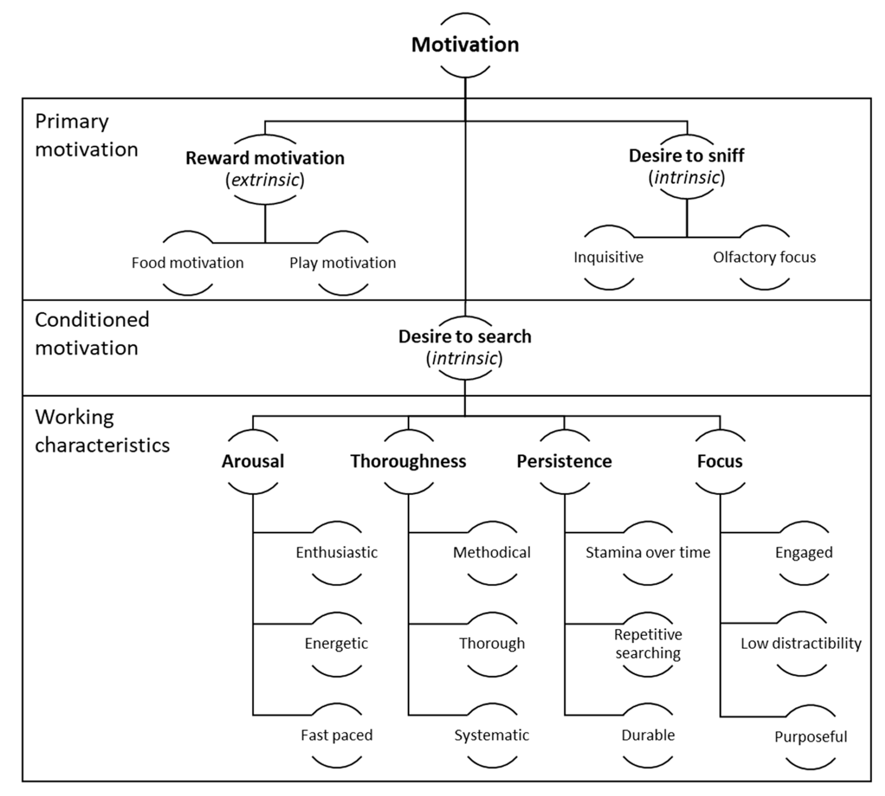 Animals 13 00504 g001