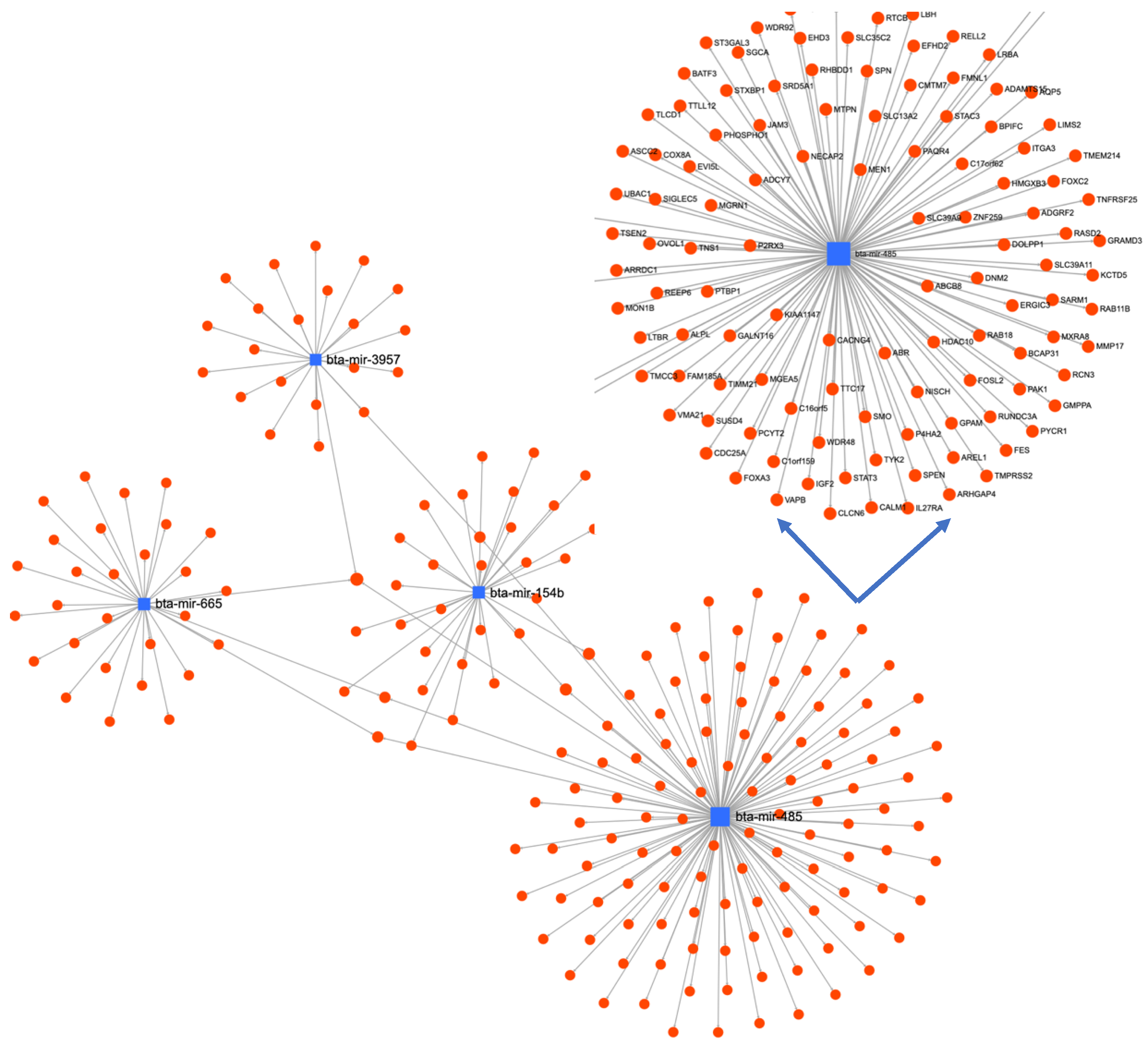 Animals 13 00508 g005 Animals 13 00508 g005