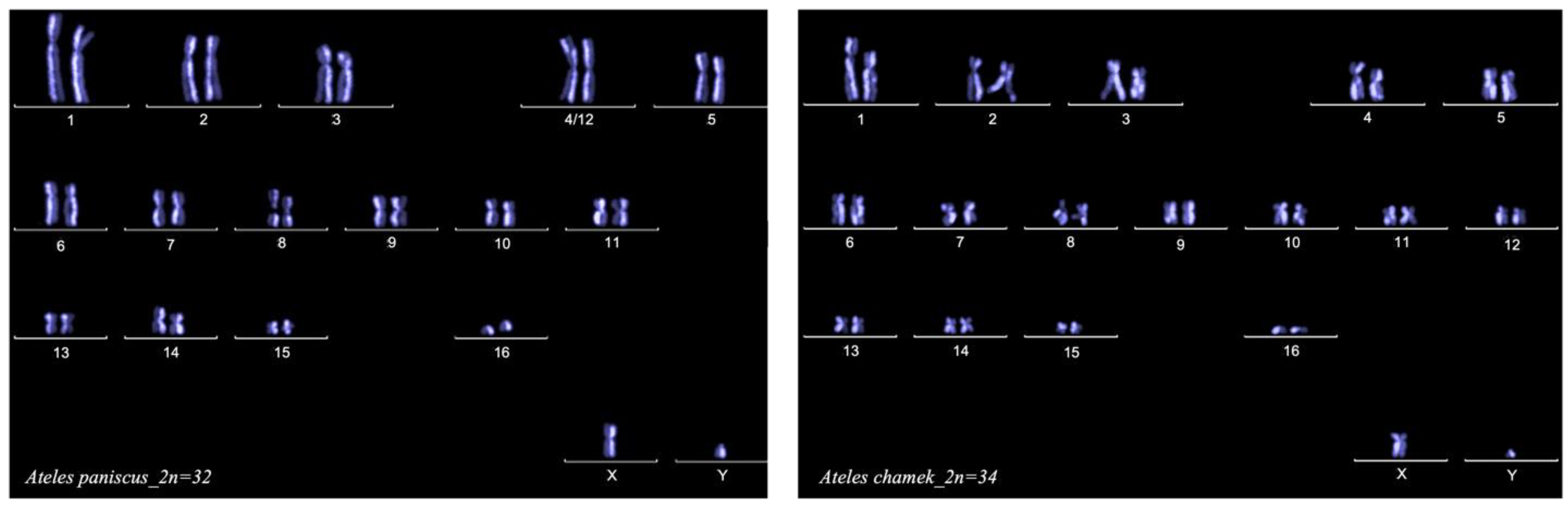 Animals 13 00510 g002