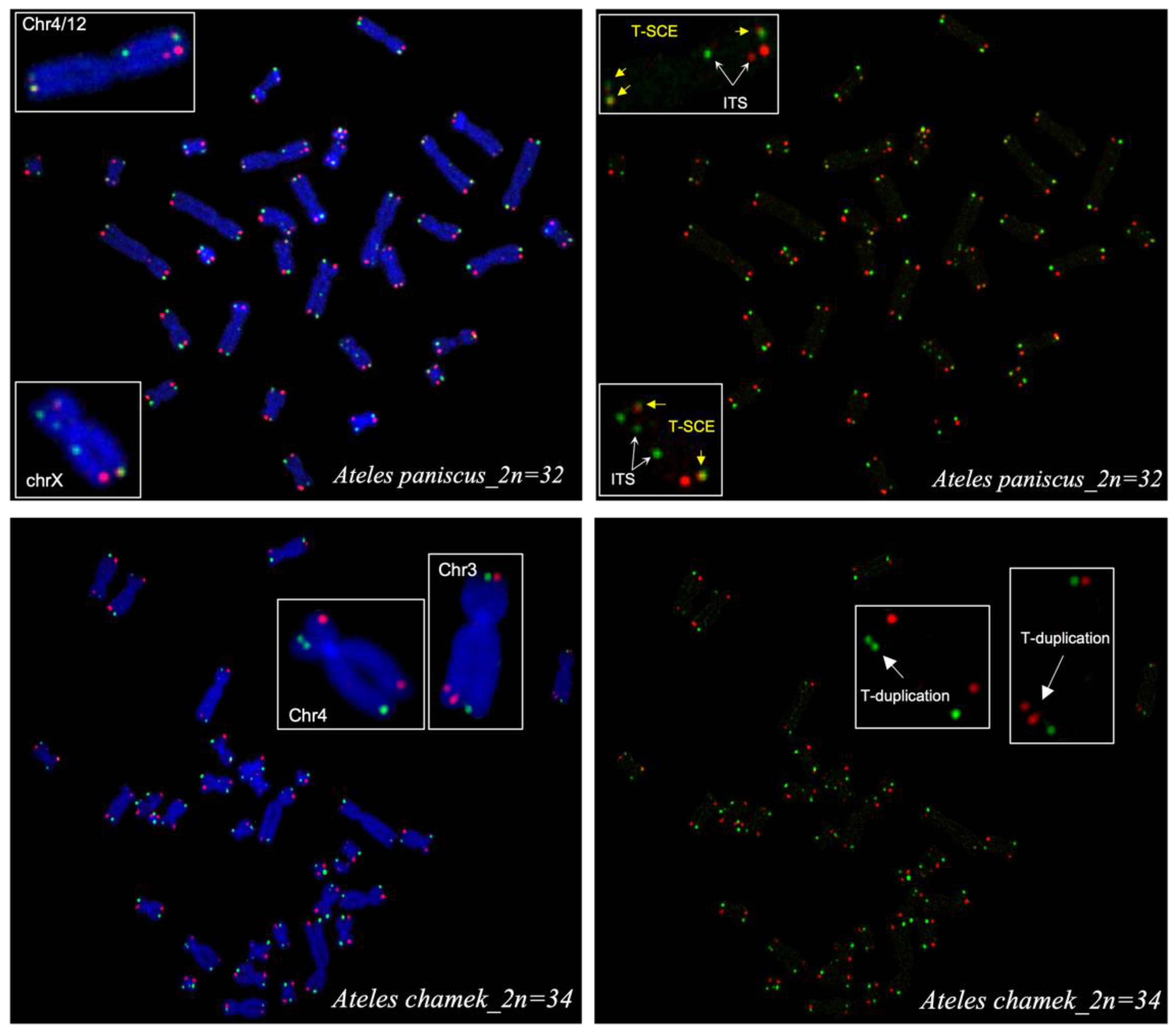 Animals 13 00510 g006
