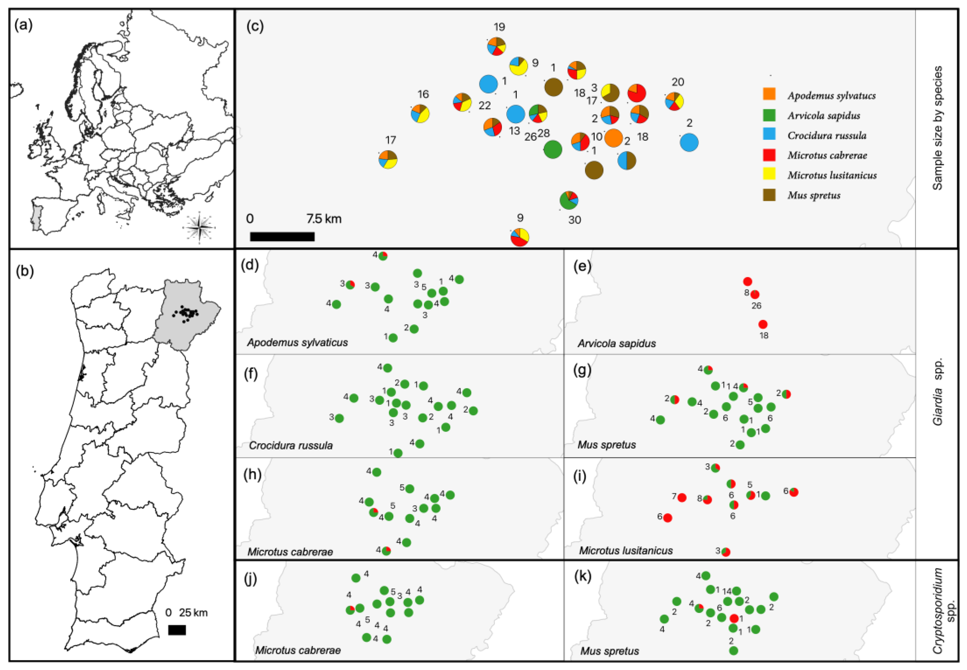 Animals 13 00515 g001 Animals 13 00515 g001