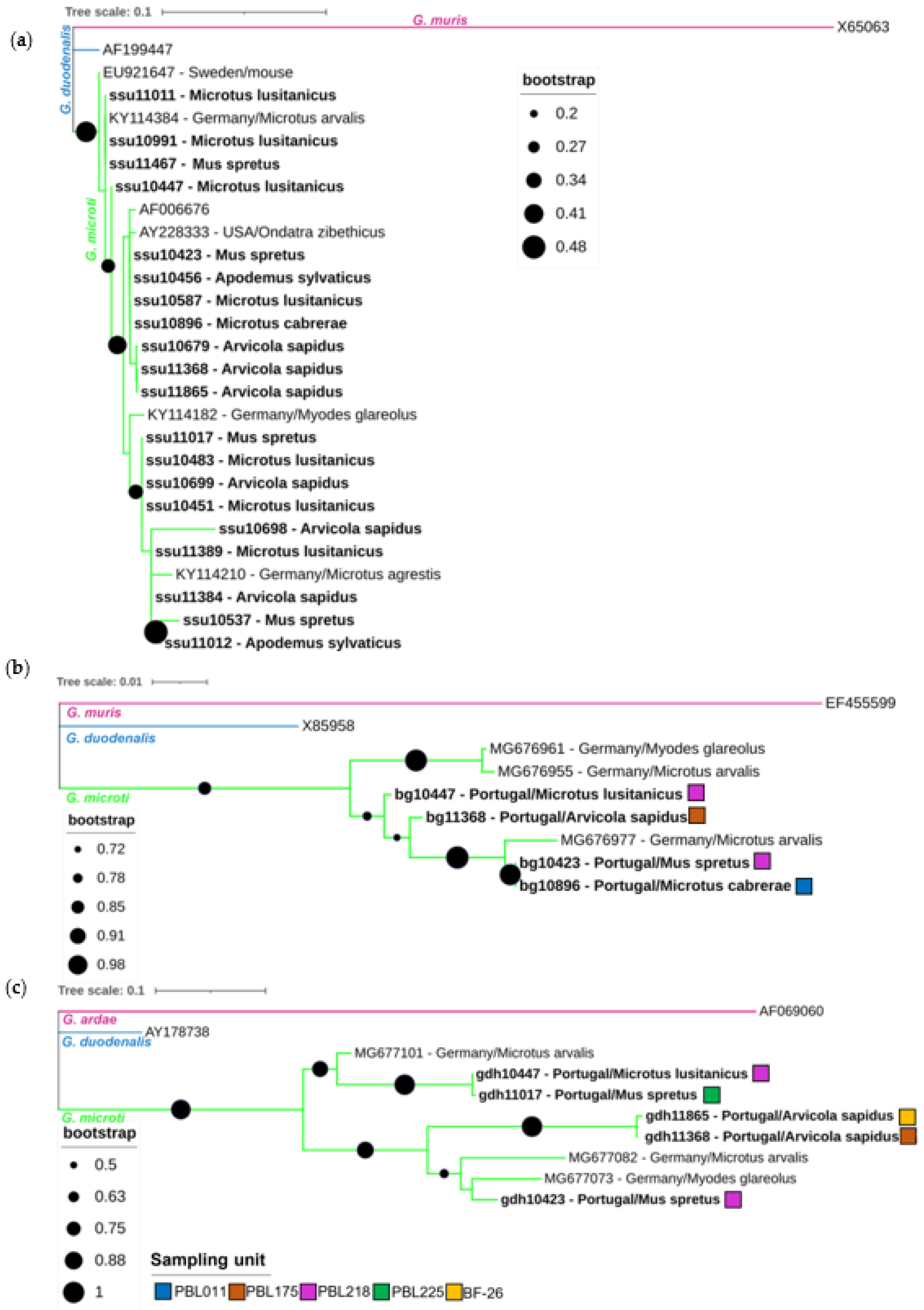 Animals 13 00515 g002 Animals 13 00515 g002