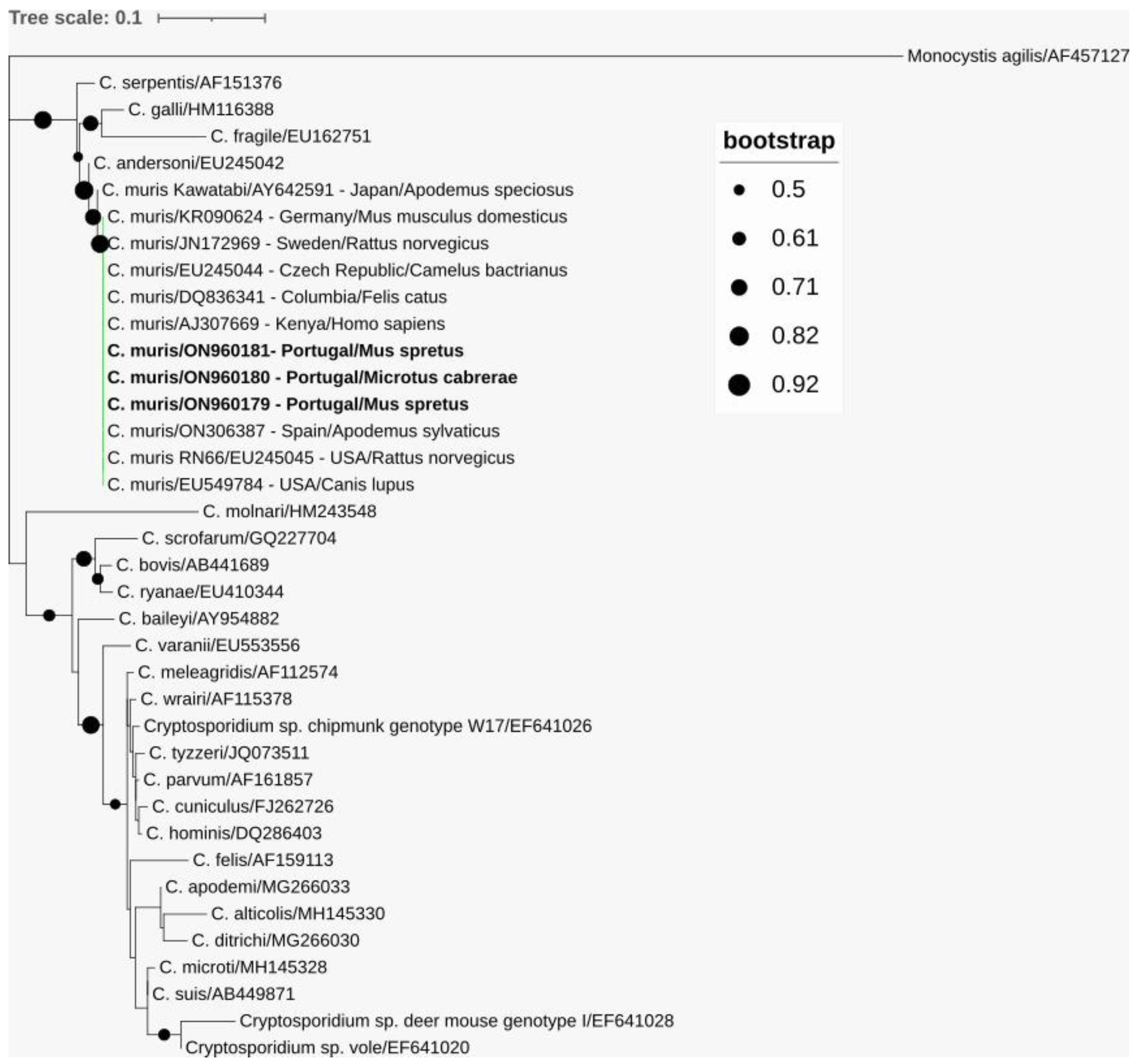 Animals 13 00515 g003 Animals 13 00515 g003