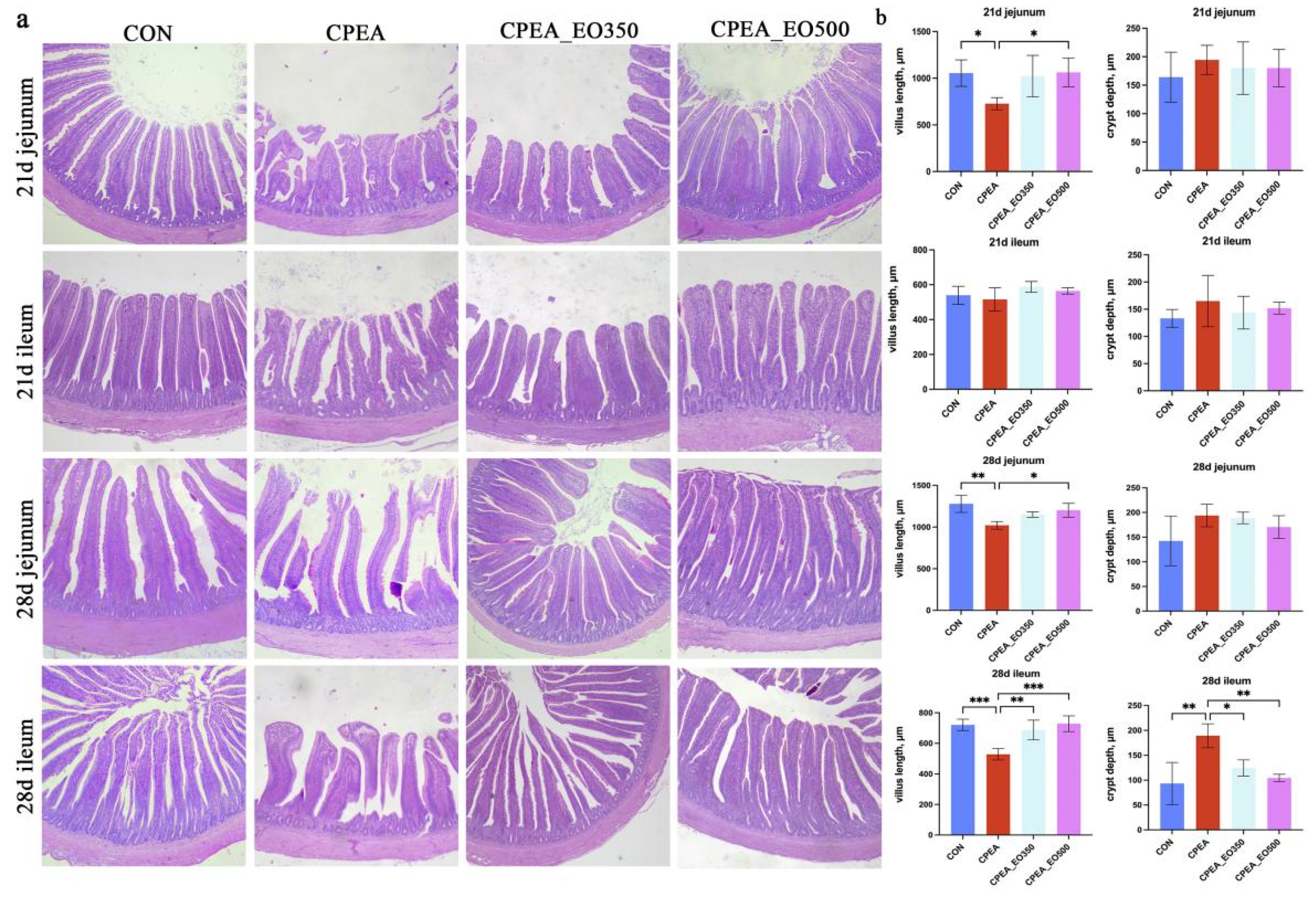 Animals 13 00516 g002