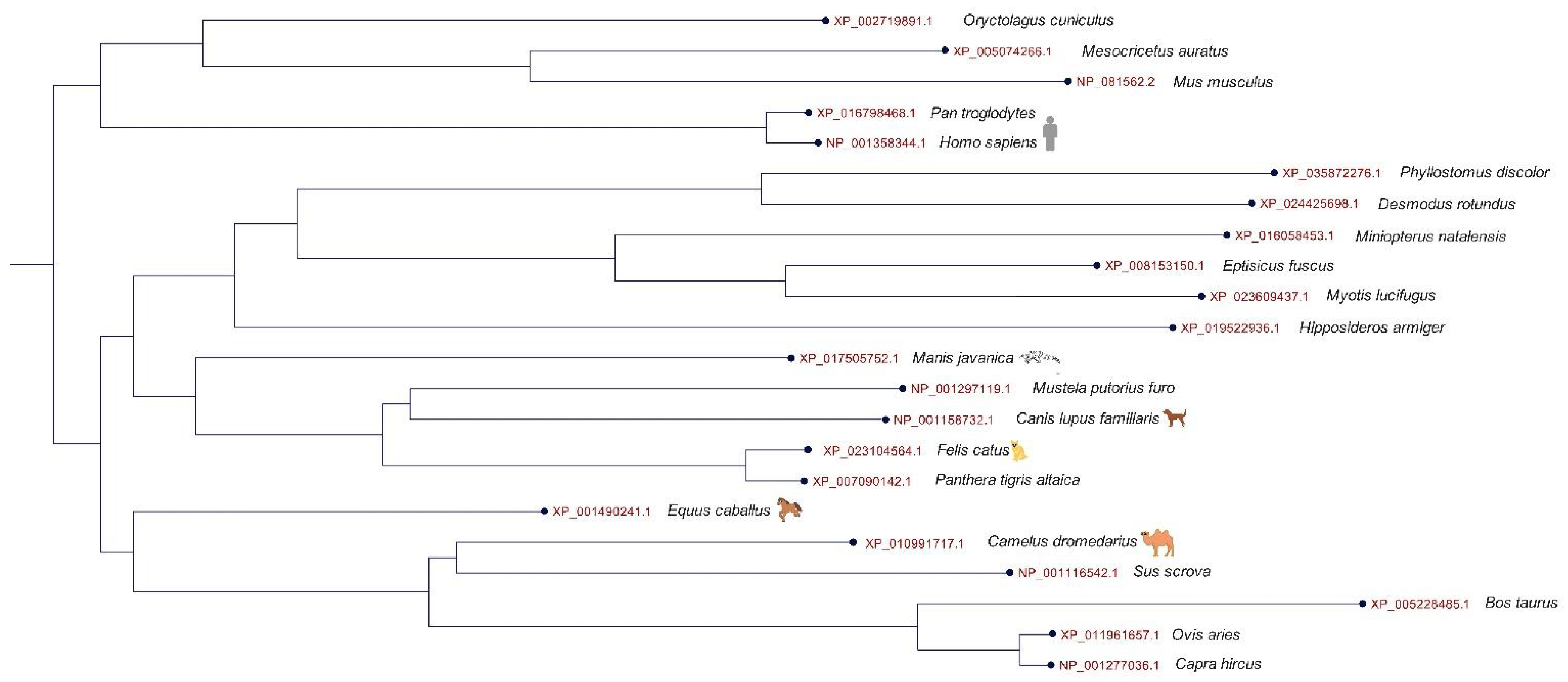 Animals 13 00524 g001 Animals 13 00524 g001