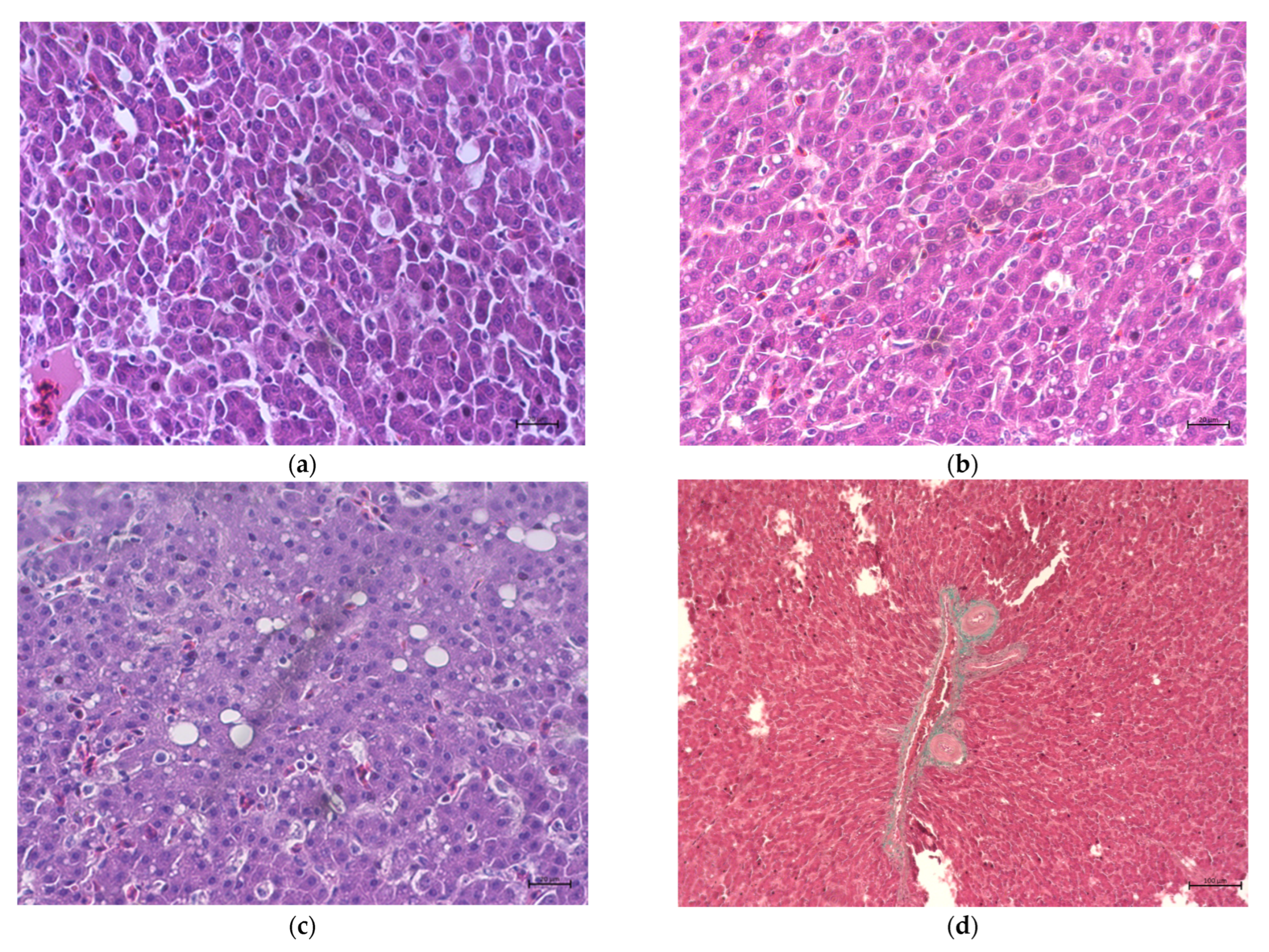 Animals 13 00527 g001 Animals 13 00527 g001