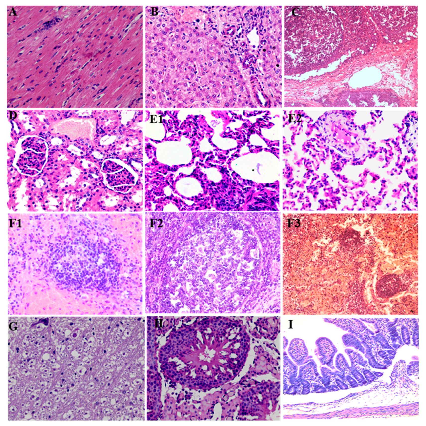 Animals 13 00530 g003 Animals 13 00530 g003