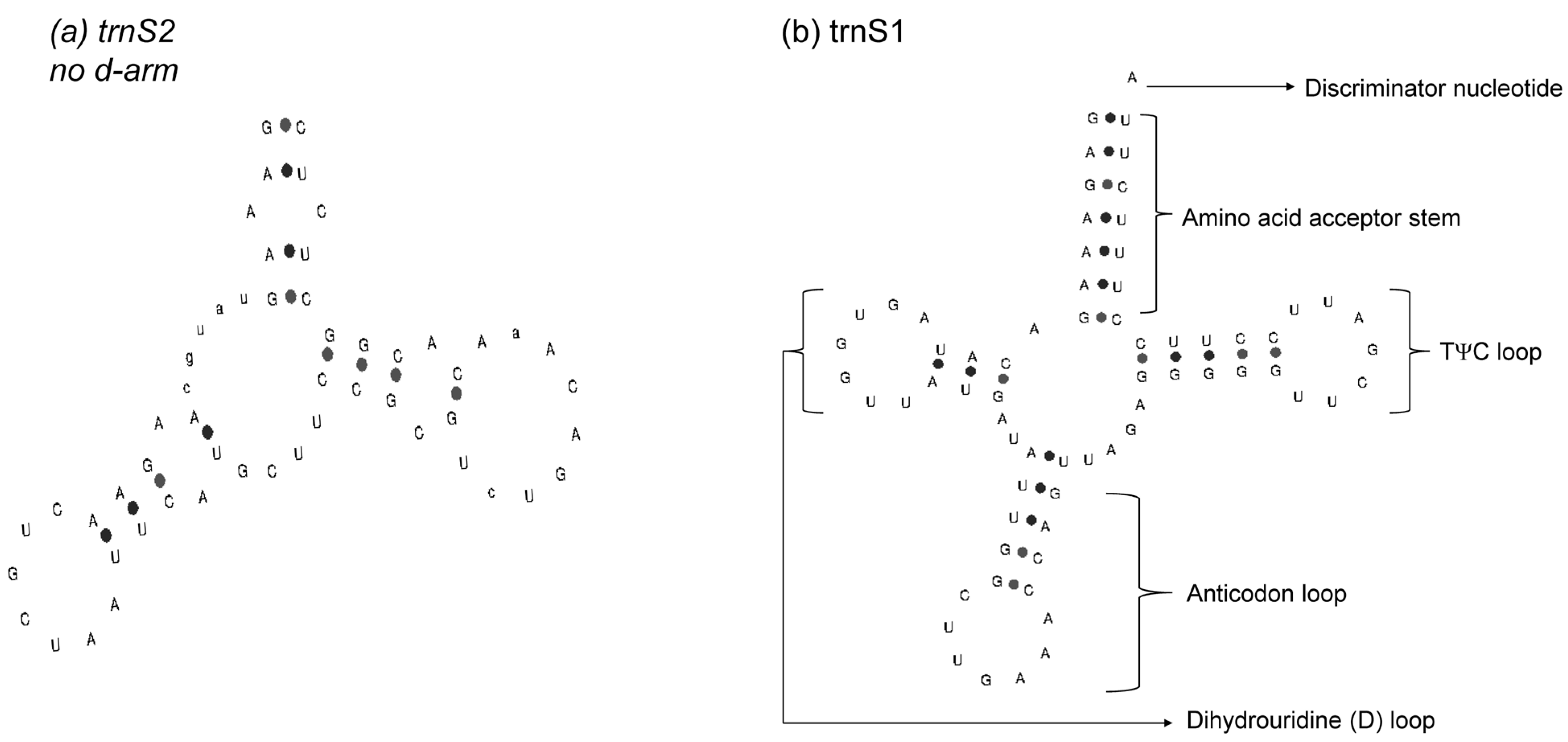 Animals 13 00531 g004 Animals 13 00531 g004